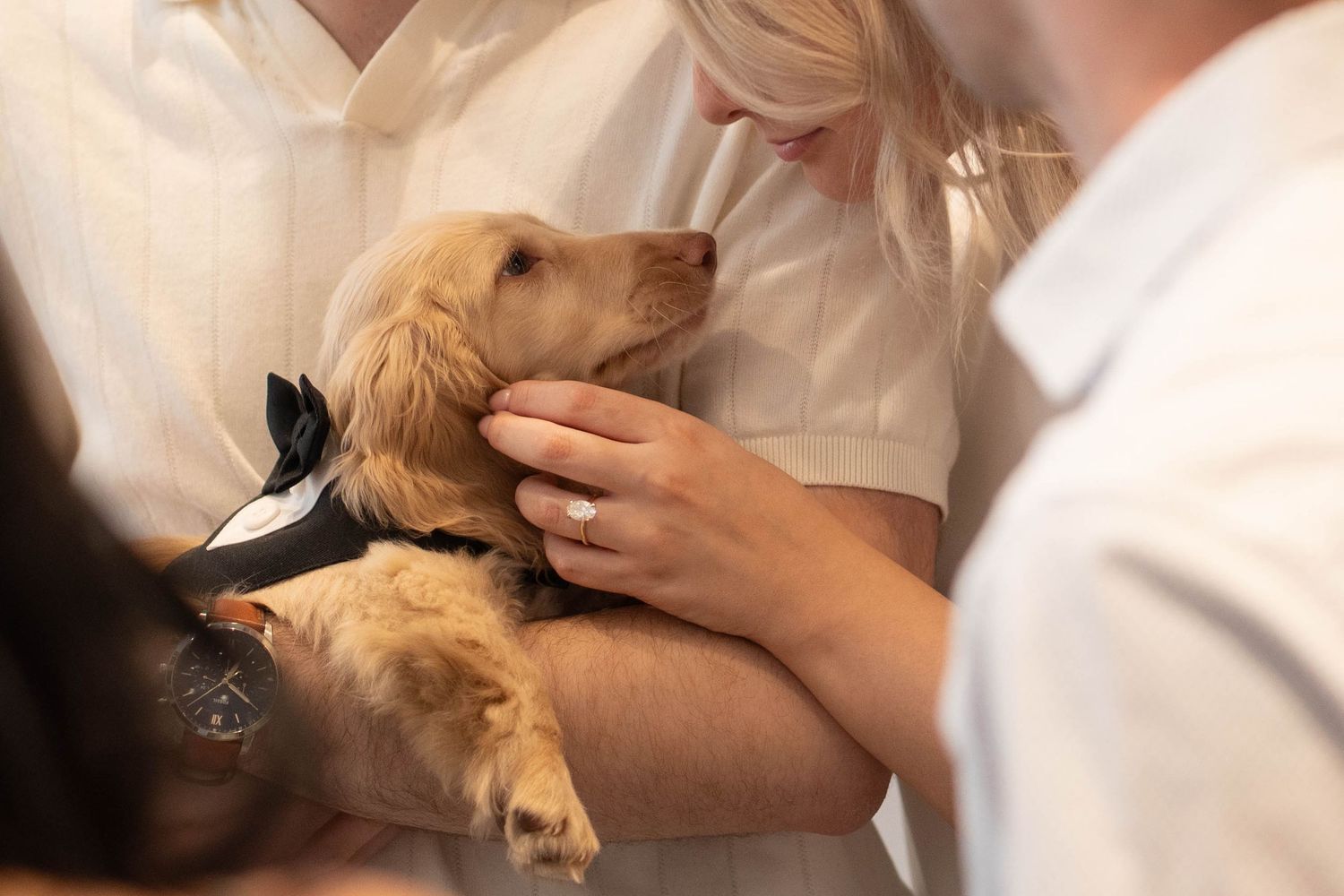 Woman wearing an engagement ring pets a golden puppy in a black bow tie as it rests in her arms.