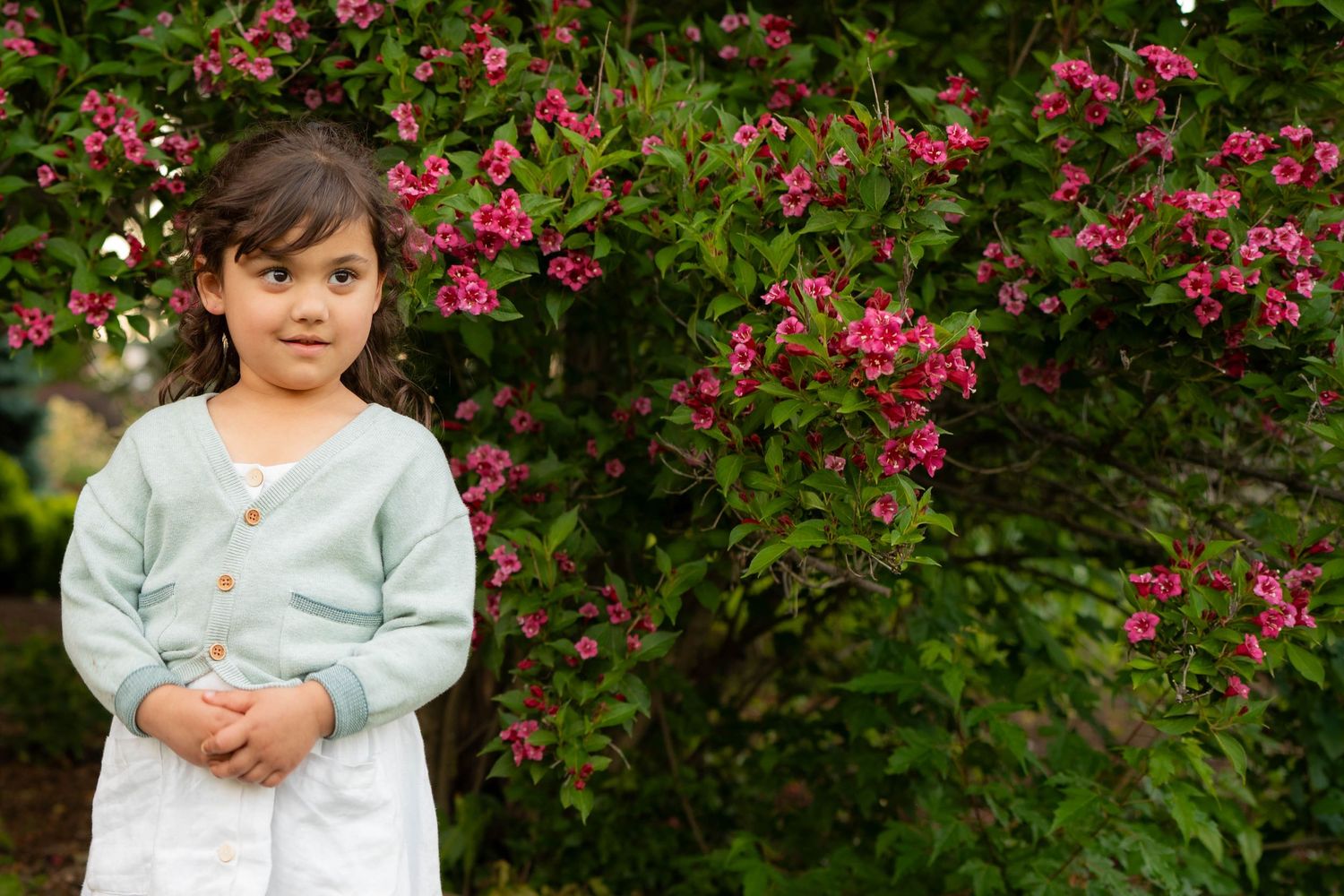A young girl in a sage green cardigan and white dress stands in front of a blooming pink flowering shrub.