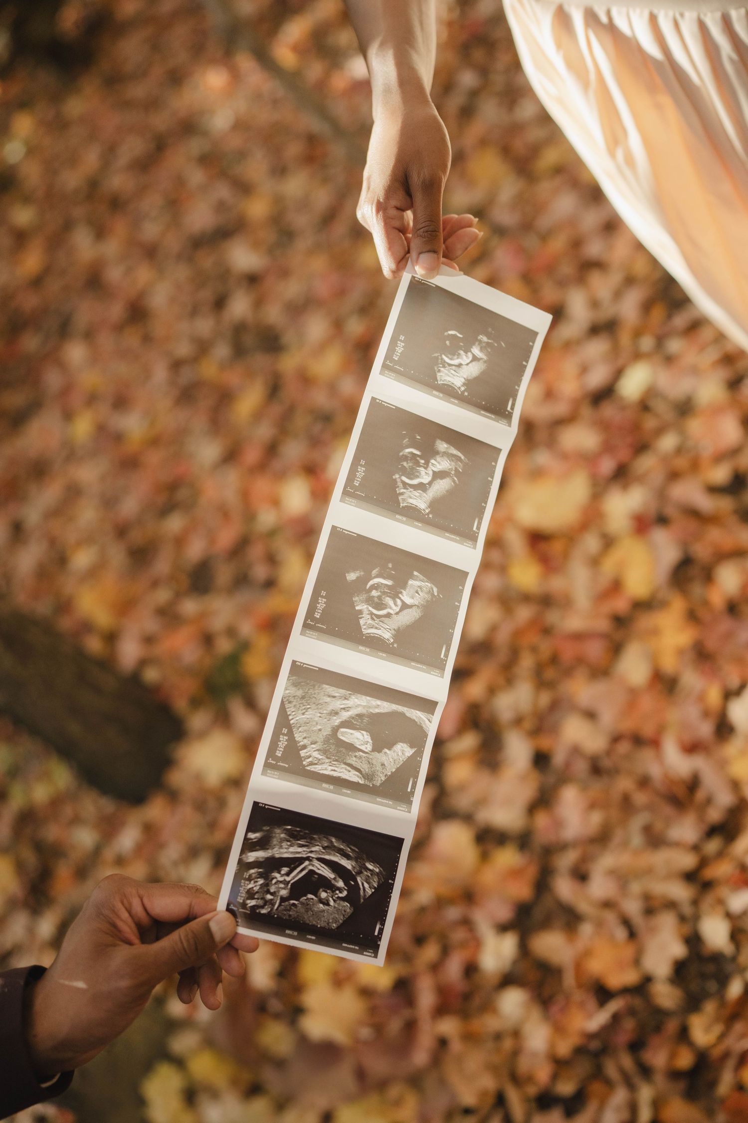 Hands hold a strip of ultrasound photos against a backdrop of golden autumn leaves in a pregnancy announcement photo.