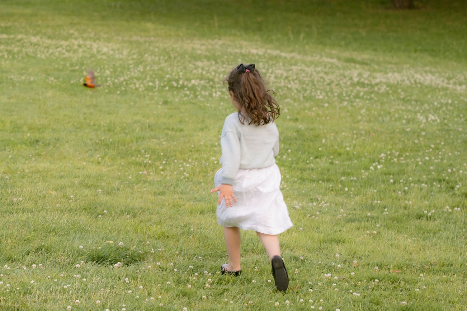 A little girl in a white dress runs through a green grassy park, seen from behind in soft evening light.