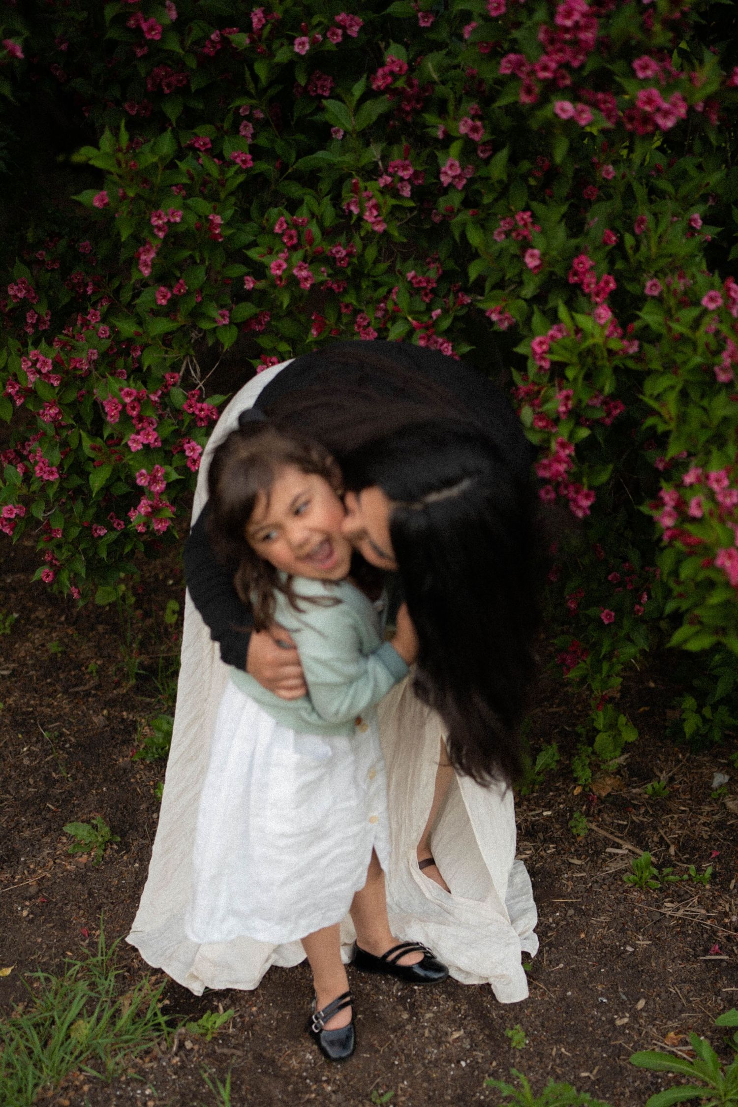 A mother leans down to kiss her giggling daughter in a white dress beside a blooming pink flowering shrub.
