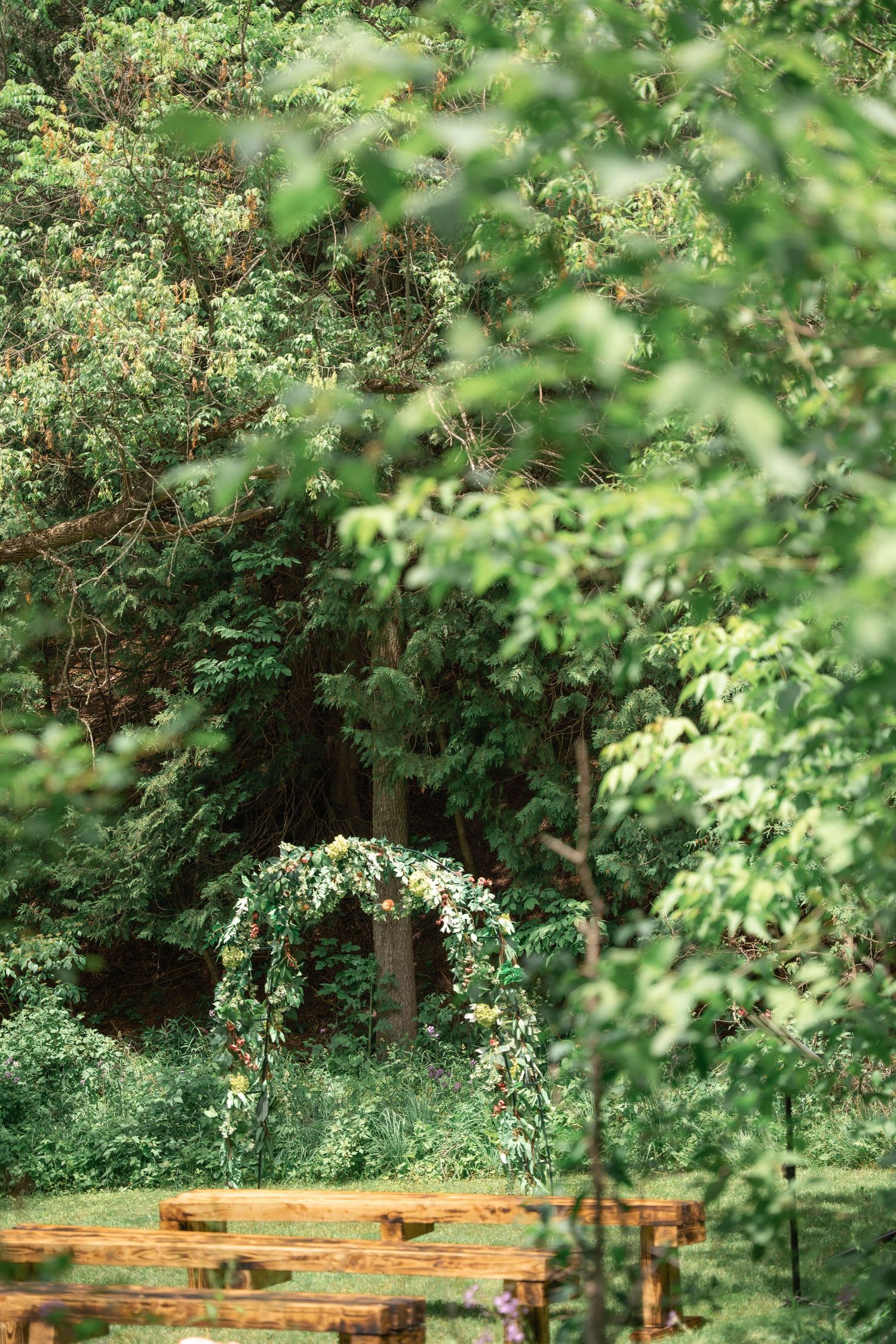 A floral wedding arch stands in a wooded clearing beyond wooden benches, framed by leafy green branches.