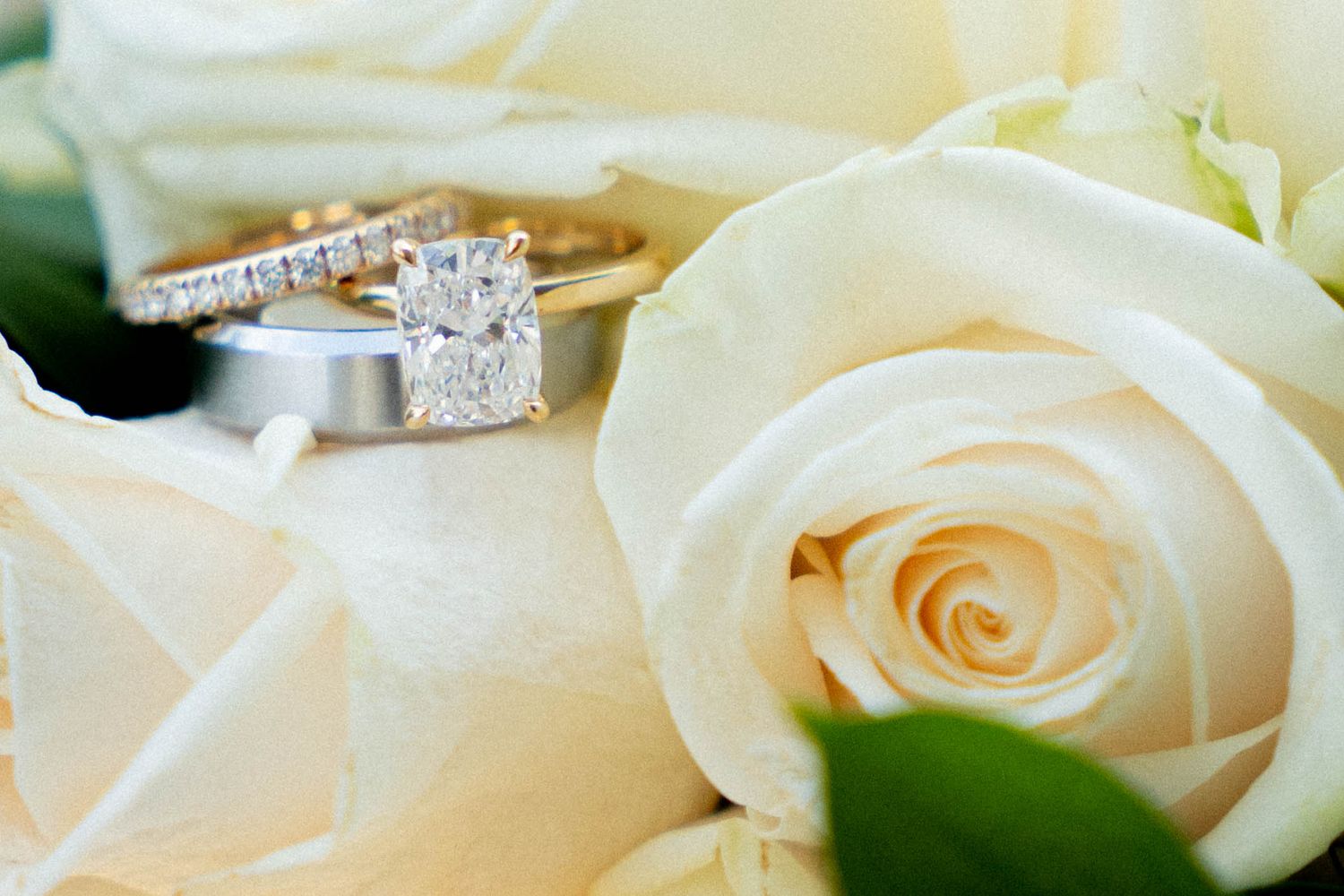Diamond engagement ring and wedding bands nestled among soft cream roses with green leaves.