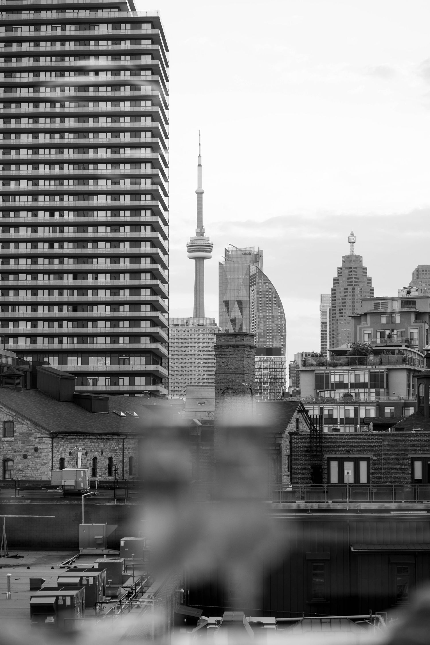 Black and white view of the CN Tower rising above Toronto high-rise buildings and rooftops, seen from a wedding venue window.