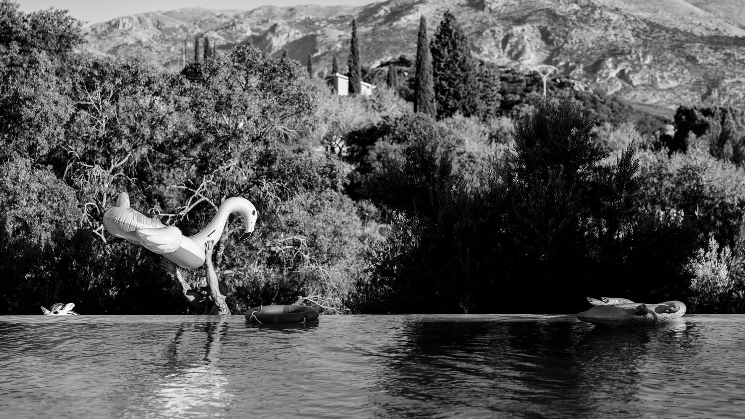 zwembad flamingo bruiloft