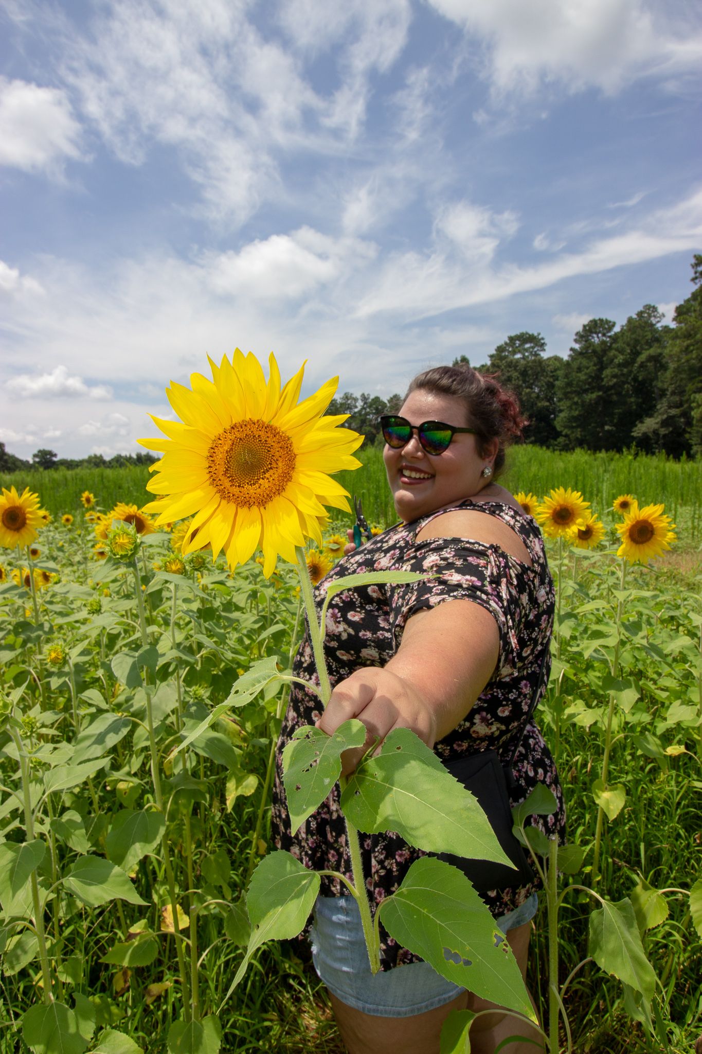 Smiling woman holding large sunflower in blooming sunflower field on sunny day.