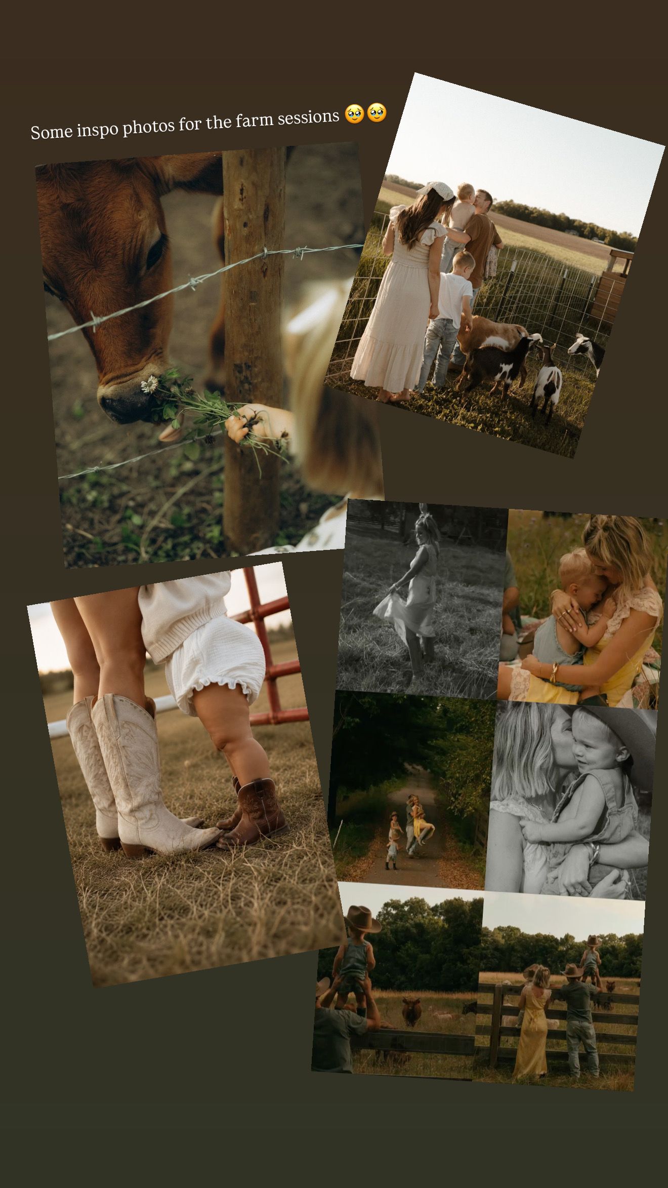 Farm photography session inspiration collage featuring cattle, family portraits, cowboy boots, and rustic fence settings.