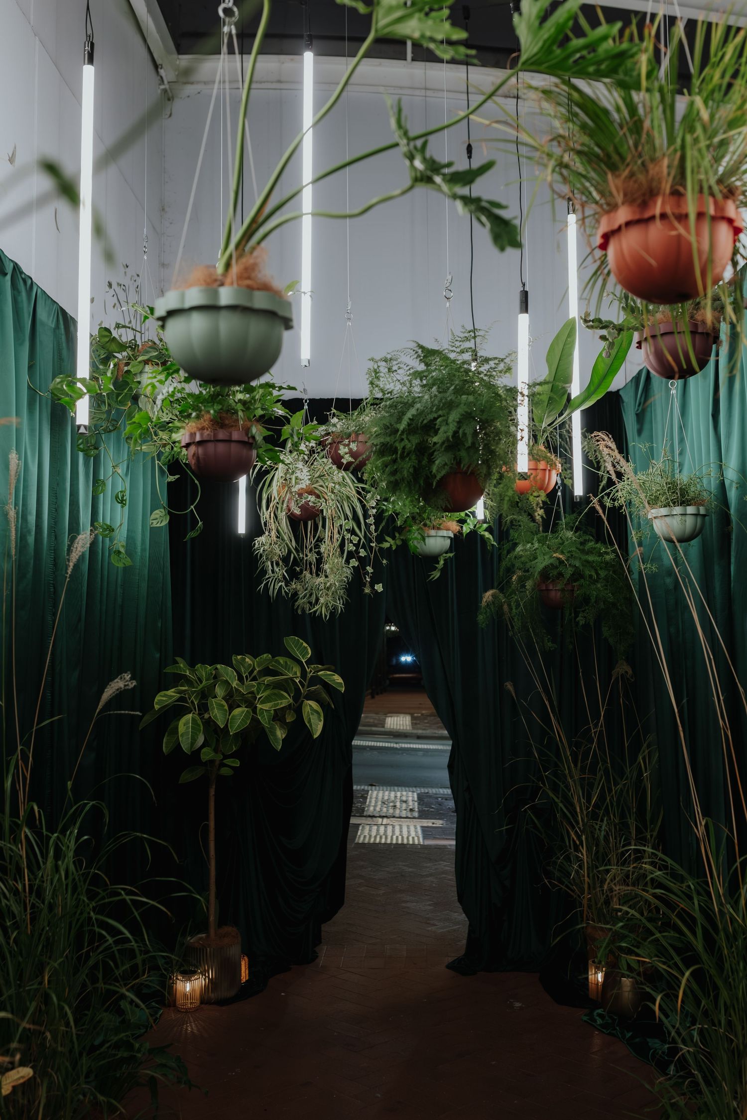 Lush hanging plants and greenery lining a dimly lit corridor with candles at an indoor event.