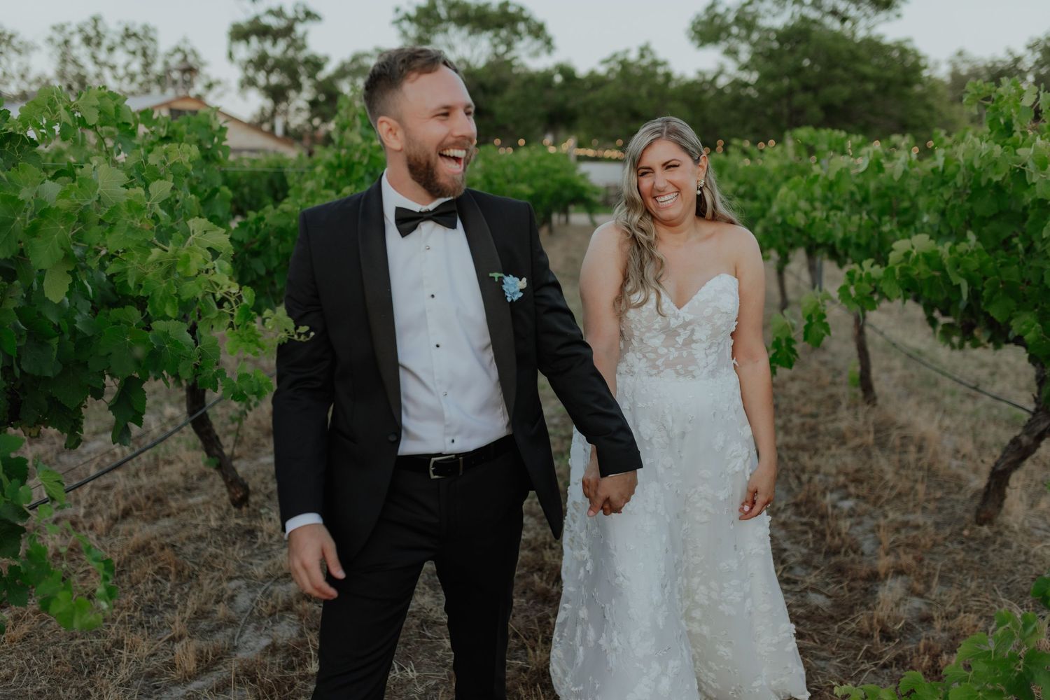 Laughing bride and groom walking hand in hand through a lush green vineyard together.