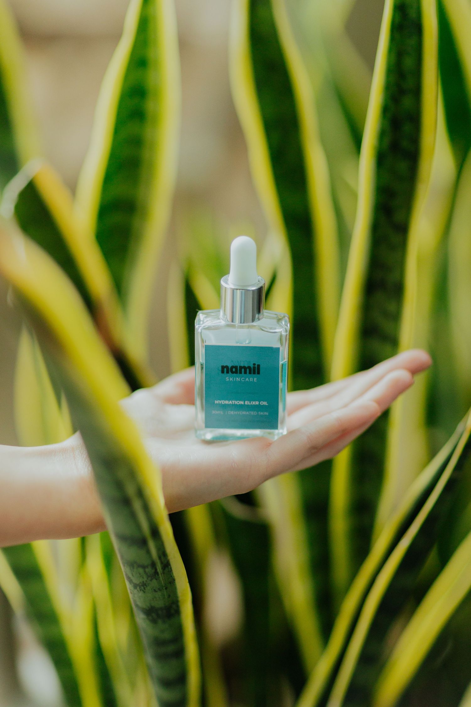 Hand holding teal Namii skincare oil dropper bottle against lush snake plant background.