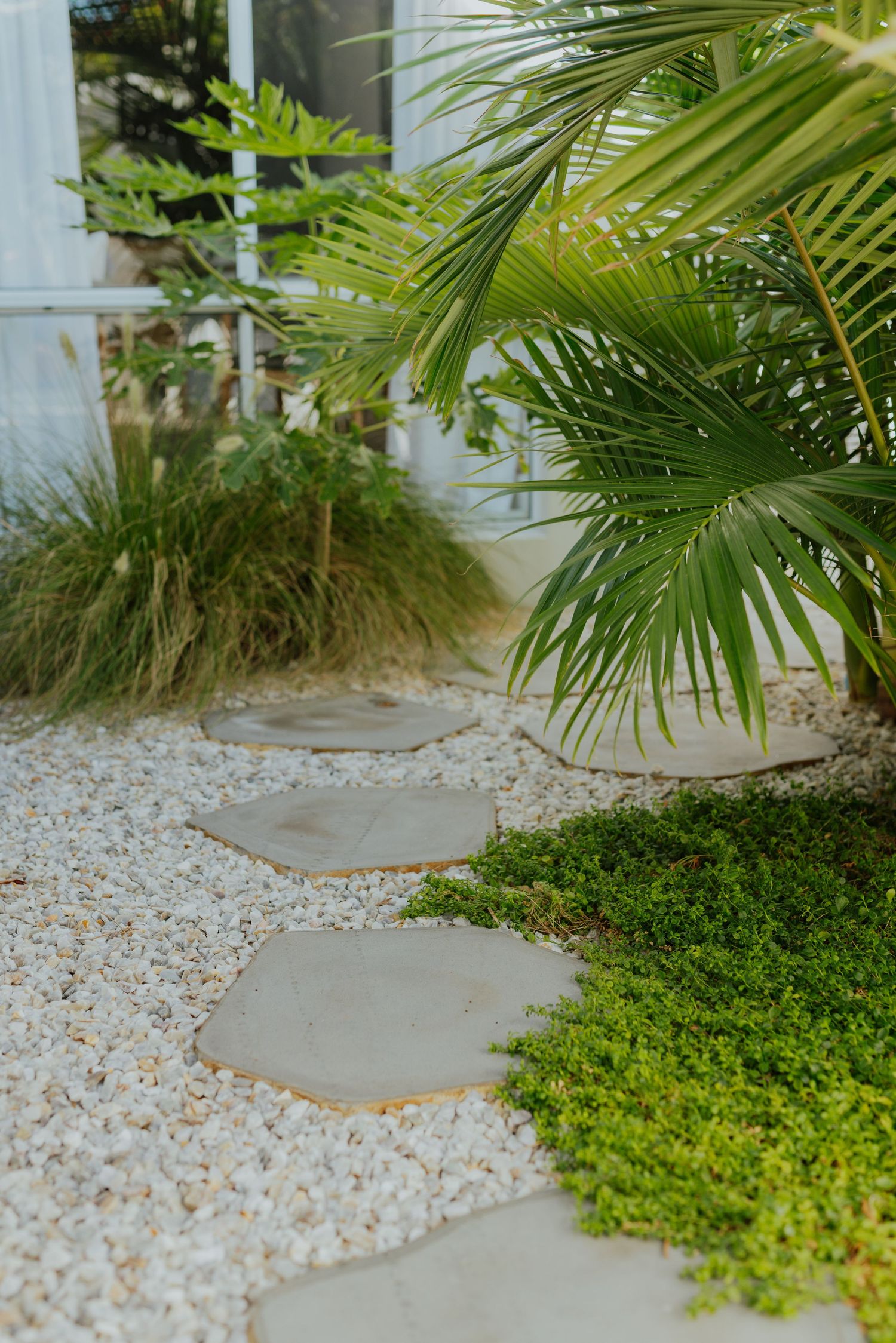 Minimalist garden path with hexagonal stepping stones, white pebble ground cover, palm tree, and green shrubs.