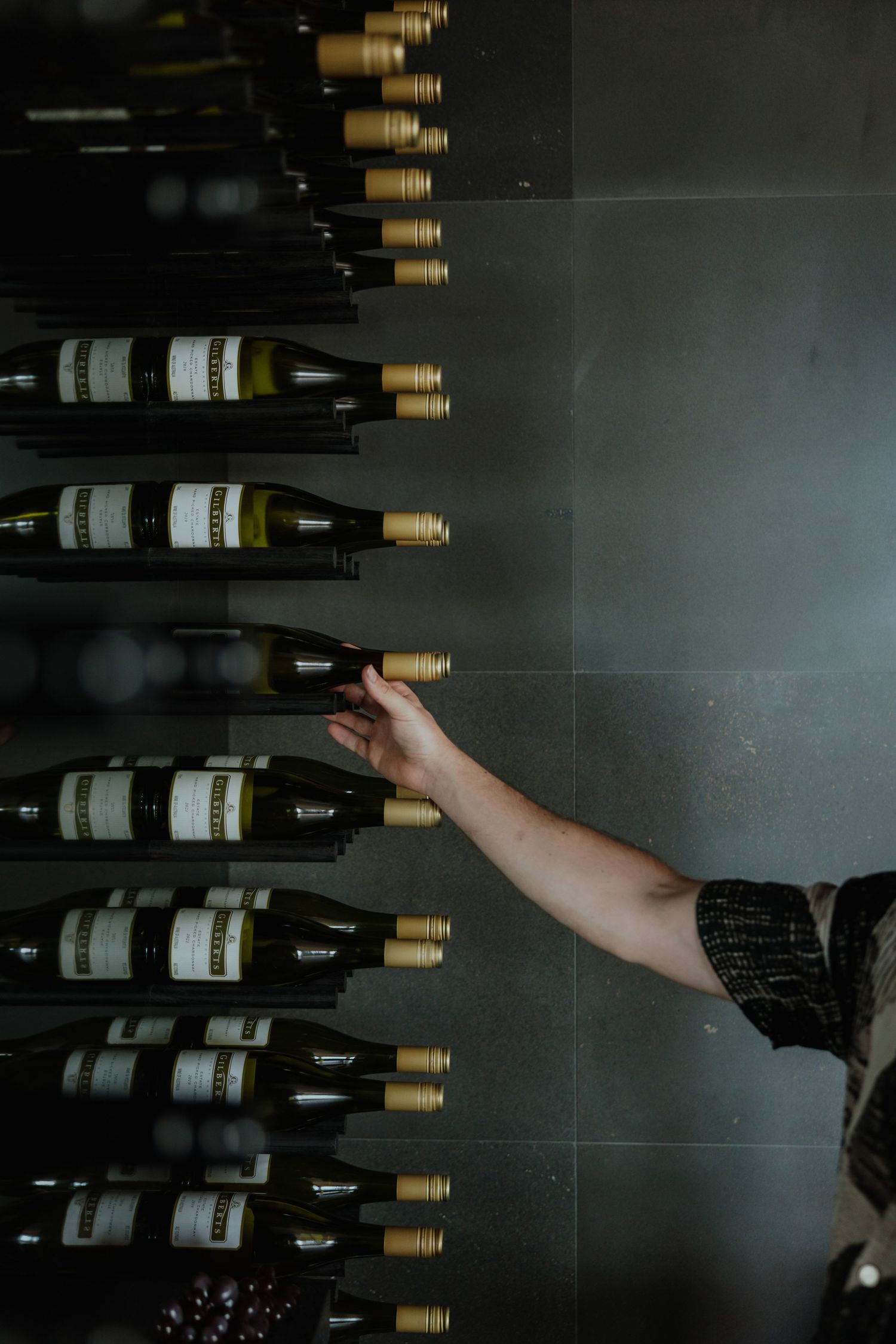 Hand selecting white wine bottle from wall-mounted wine rack in cellar.