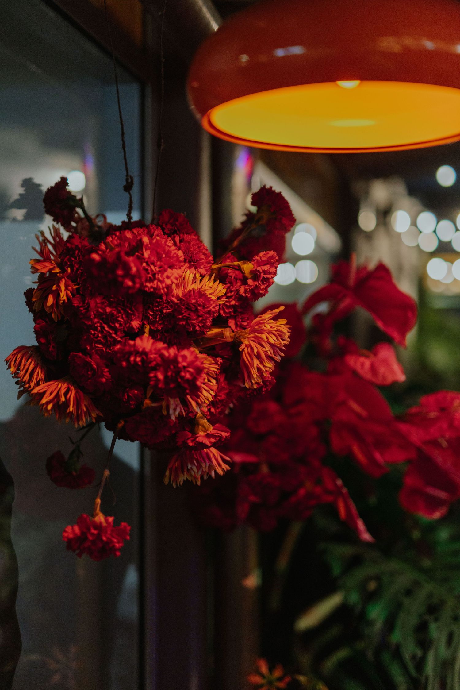 Vibrant red chrysanthemum flowers hanging beneath an orange pendant lamp in a dark venue.