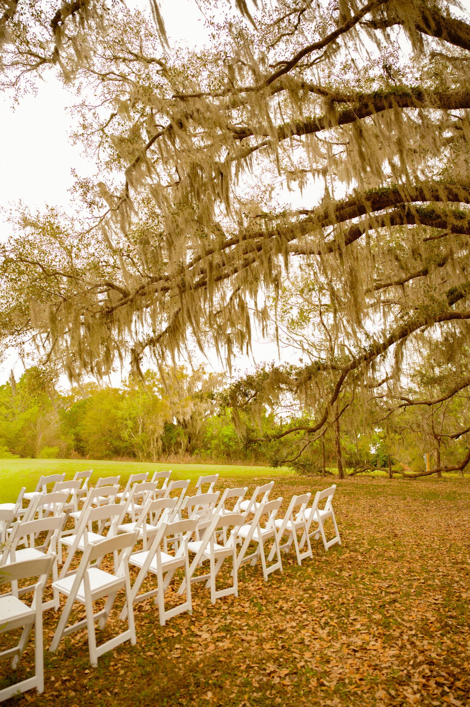 Wedding venue in Gainesville, Florida