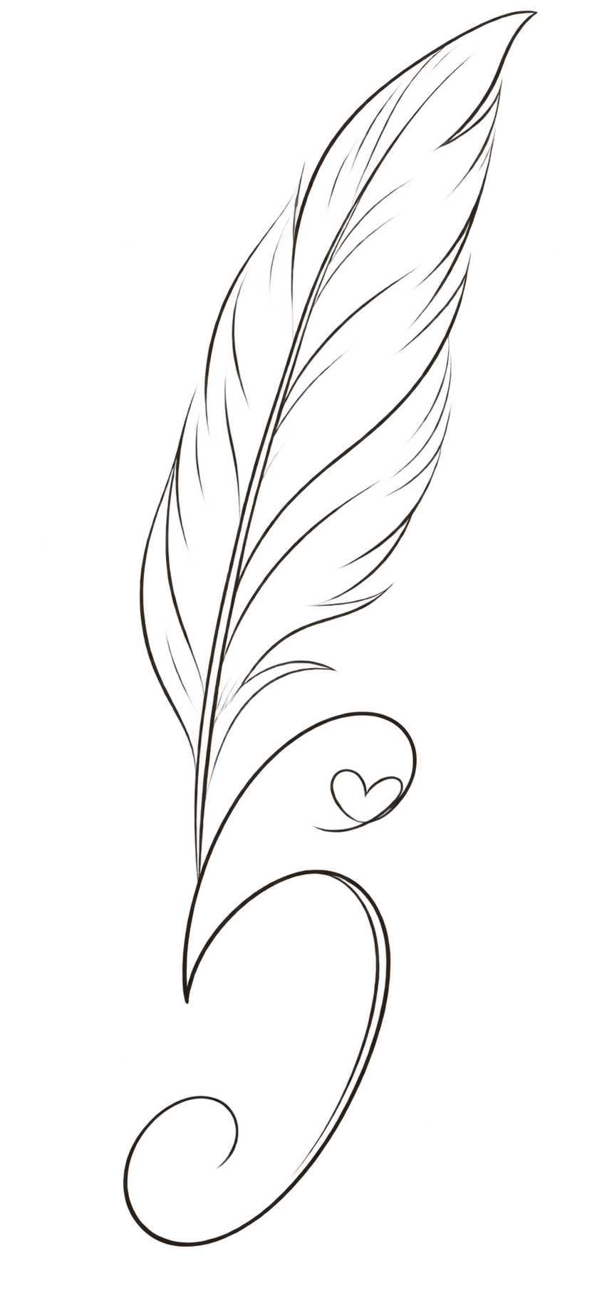 feather logo branding photography business