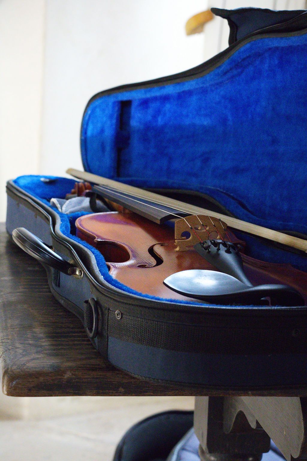 Art En Cotentin, Violon dans son écrin de velours bleu, Château des Ravalet, Cherbourg, Normandie