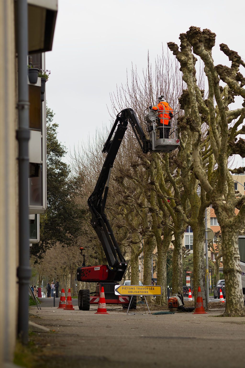 Geste pro - Action d'élagage, en nacelle, Cherbourg, Normandie