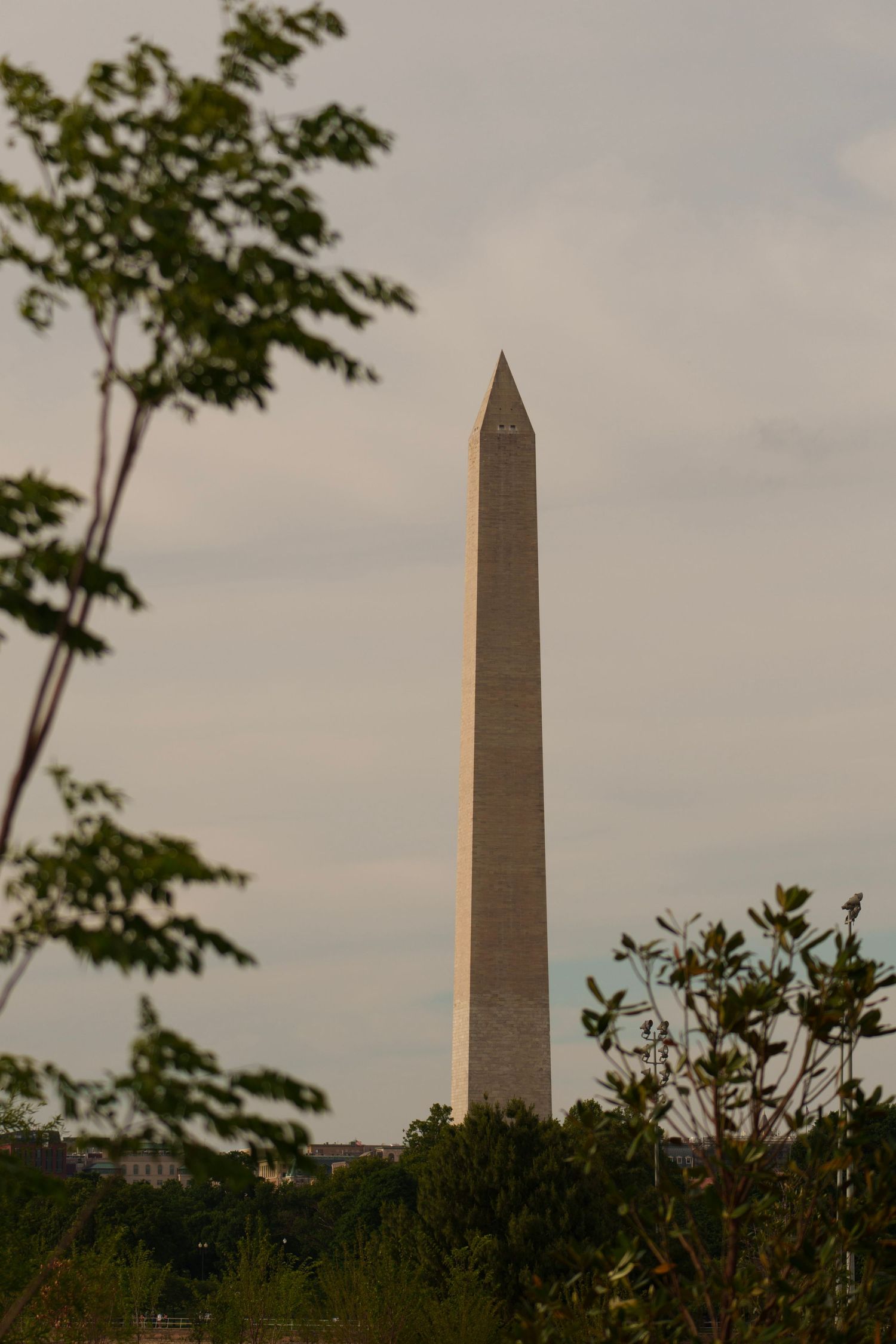 The Washington Monument obelisk rises above green trees under a cloudy sky in Washington D.C.
