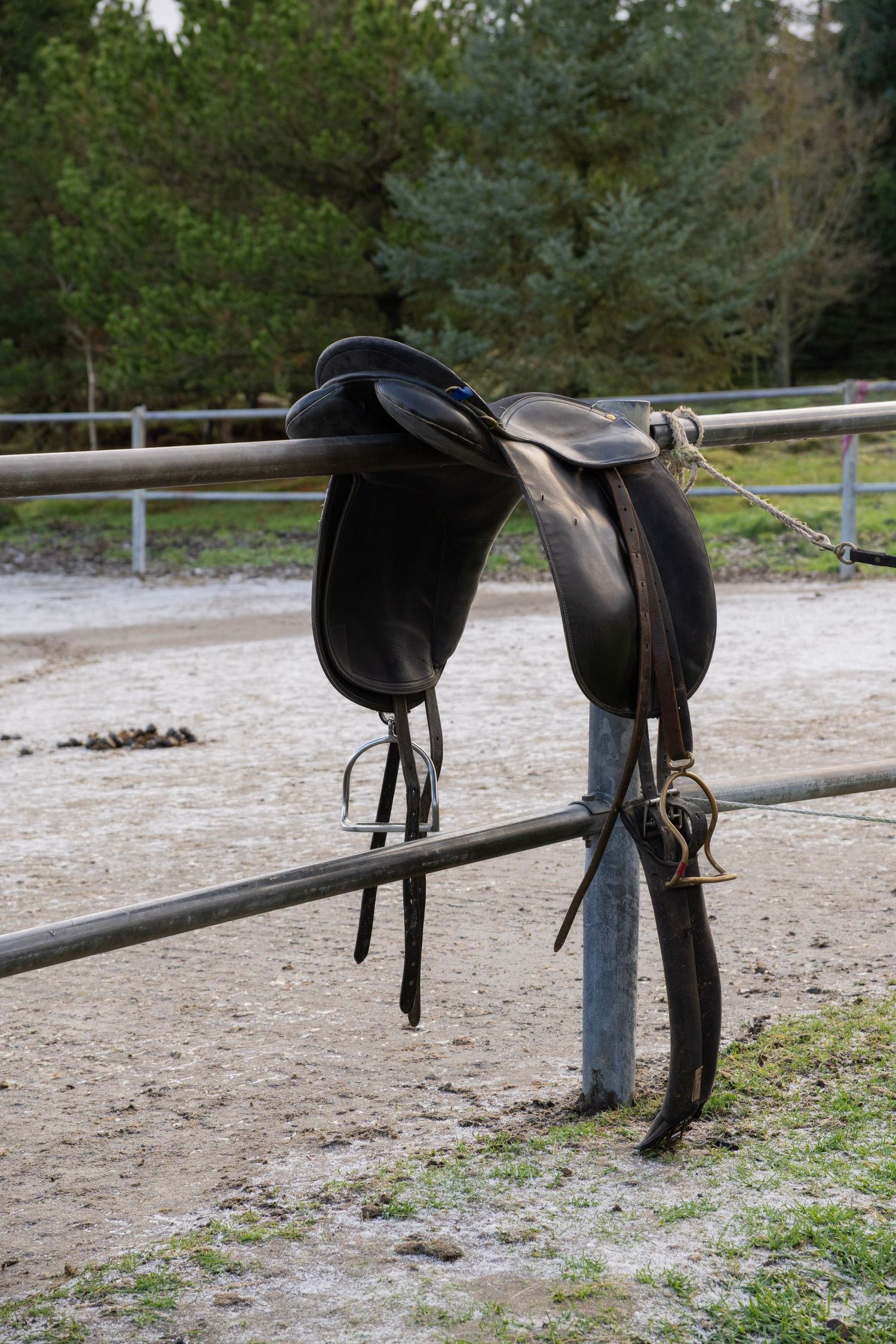 Dark brown leather horse saddle resting on a metal fence rail at an equestrian arena.
