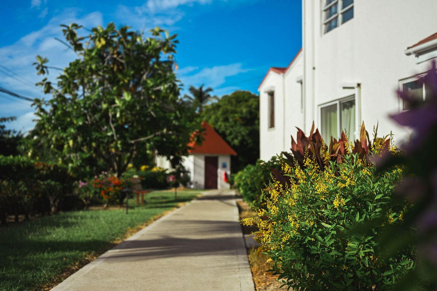 Tropical resort pathway lined with colorful plants and white buildings under a bright blue sky.