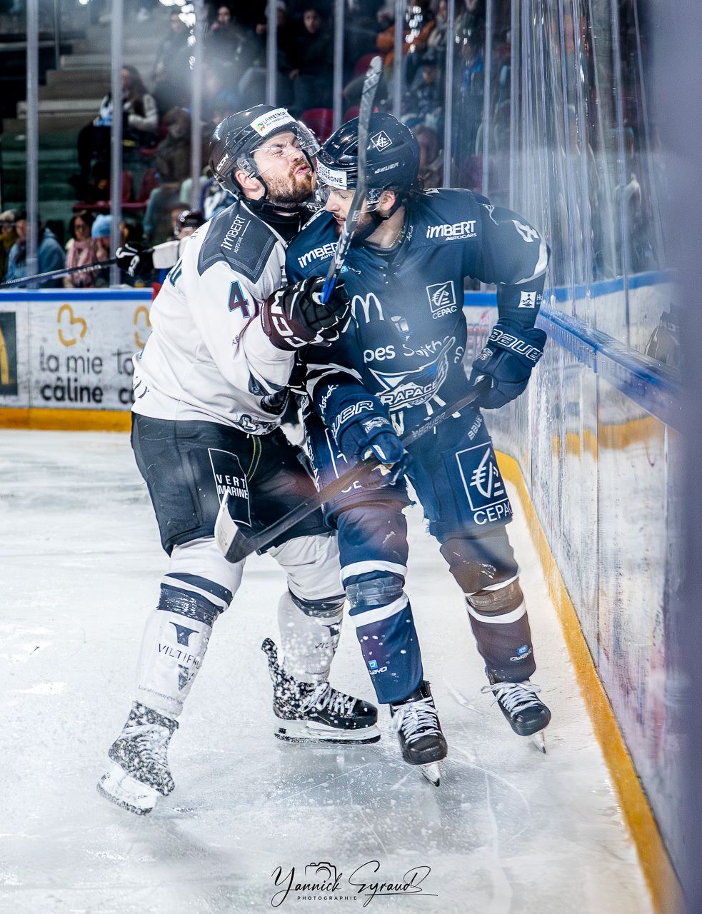 Joueur des Rapaces de Gap en duel lors d'un match de Ligue Magnus, photographiés par Yannick Eyraud