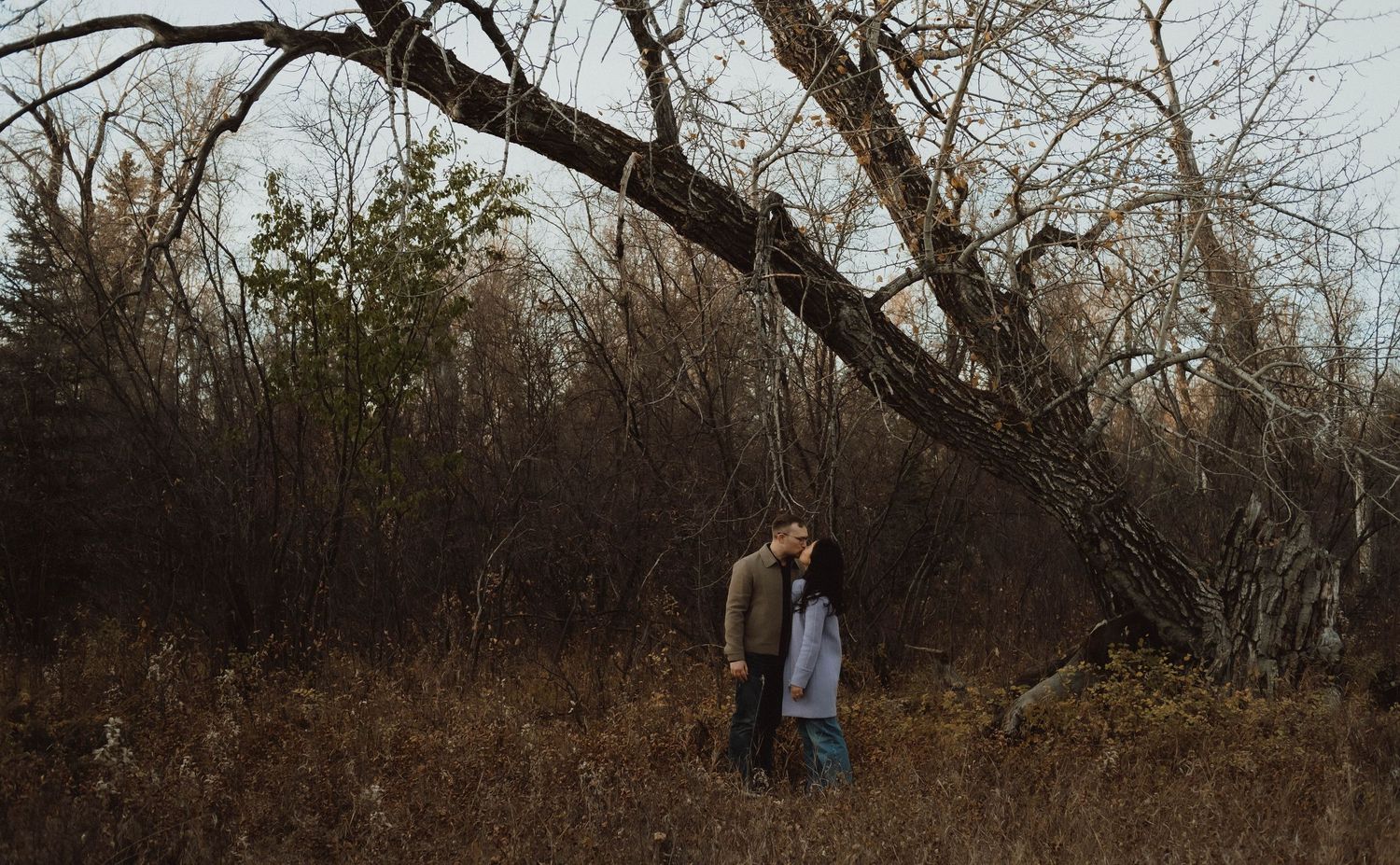 Couple sharing a romantic kiss in a bare winter forest with leafless trees and dry brush.