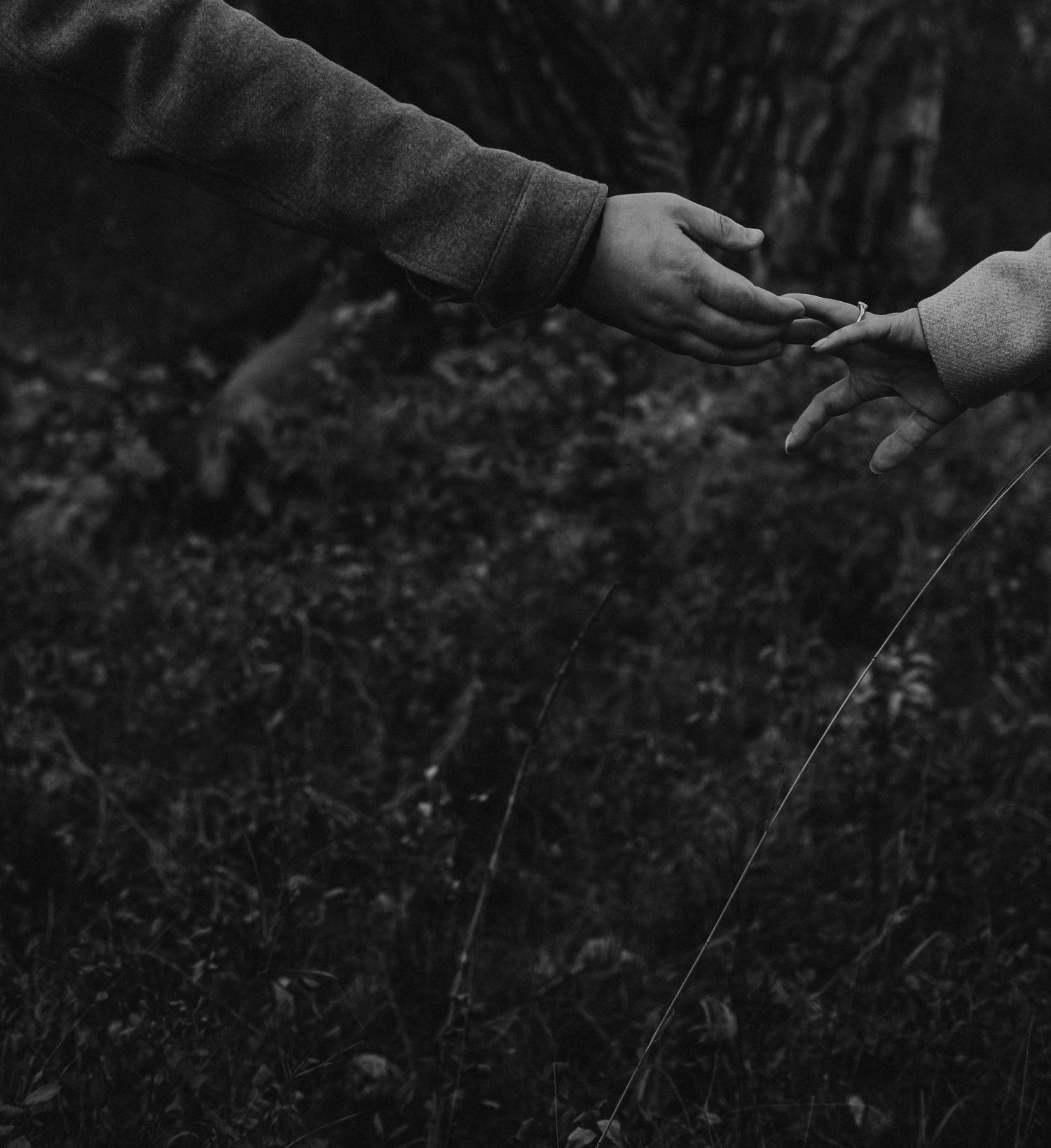 Black and white photo of two hands reaching toward each other in a forest setting.