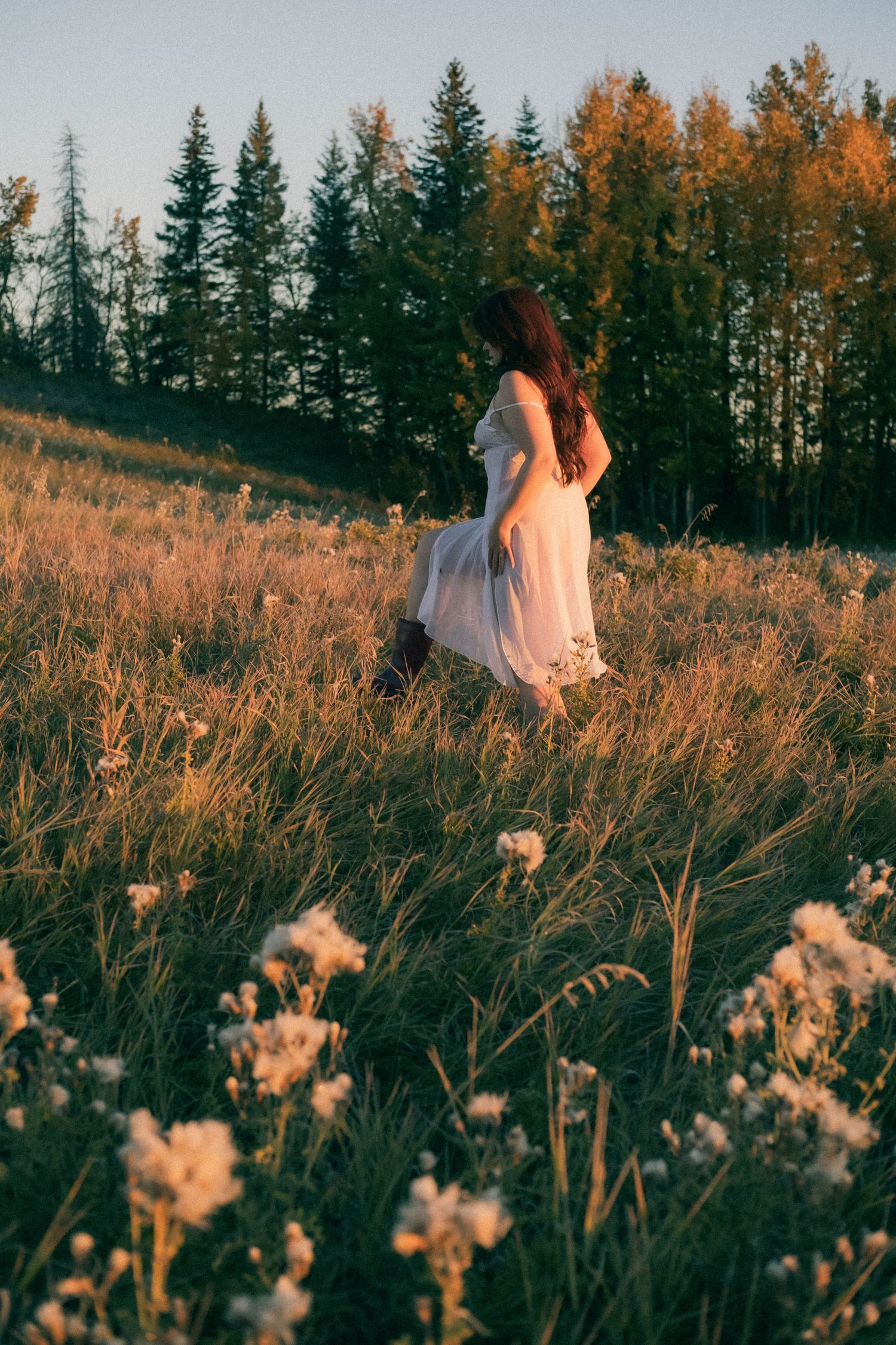 Woman in white dress walking through golden meadow at sunset with trees.