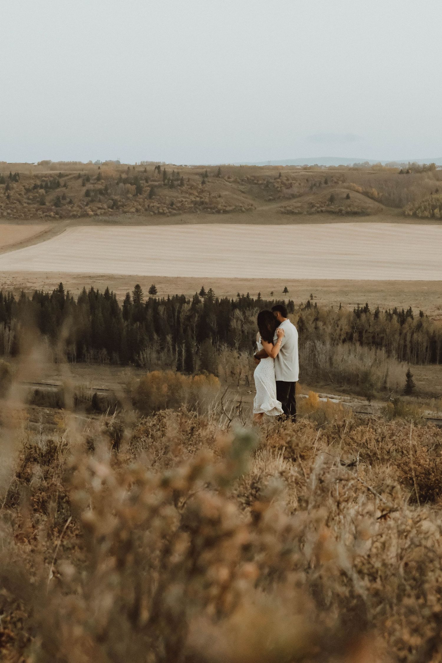 Couple embracing on a golden hillside with vast fields and evergreen trees in the background.
