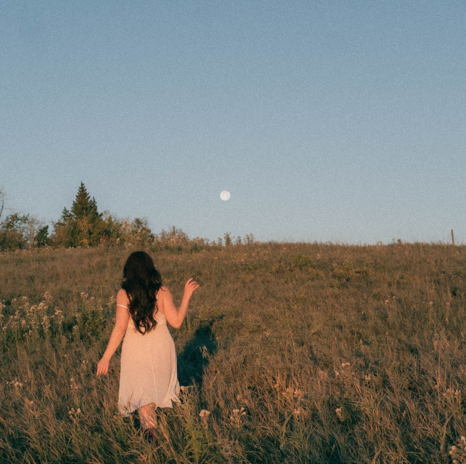 Woman in white dress walking through golden meadow pointing at full moon rising in clear blue sky.