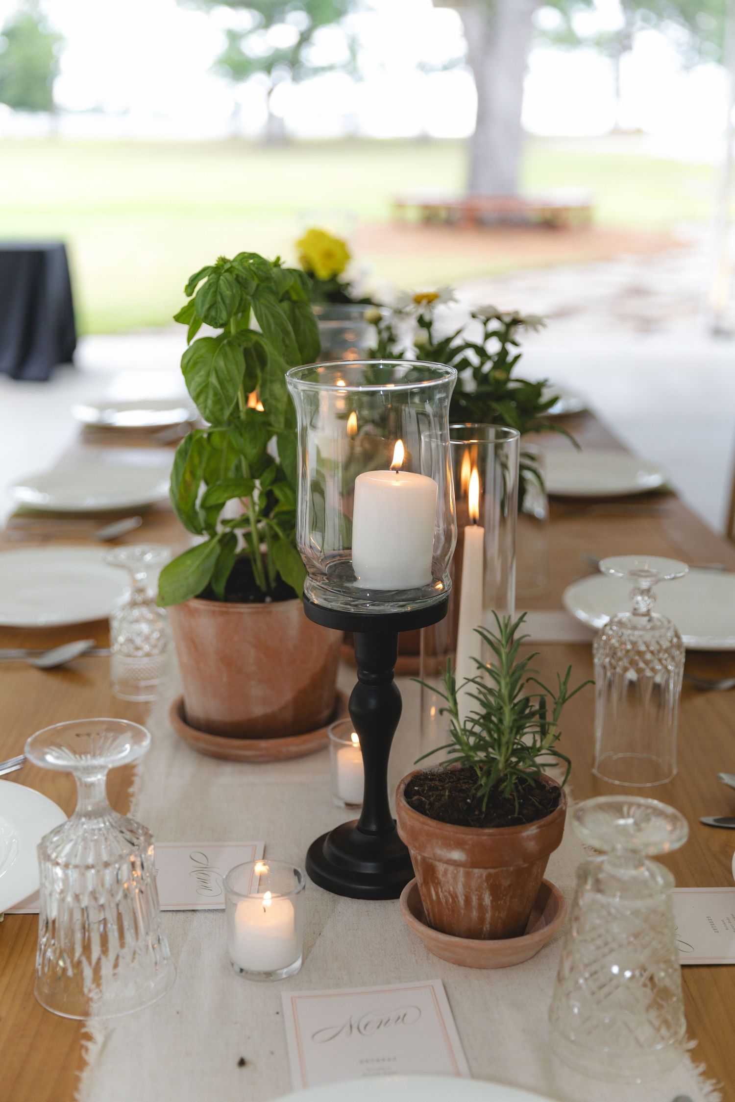 Rustic wedding table centerpiece with potted herbs, pillar candles in glass hurricanes, and crystal glassware.