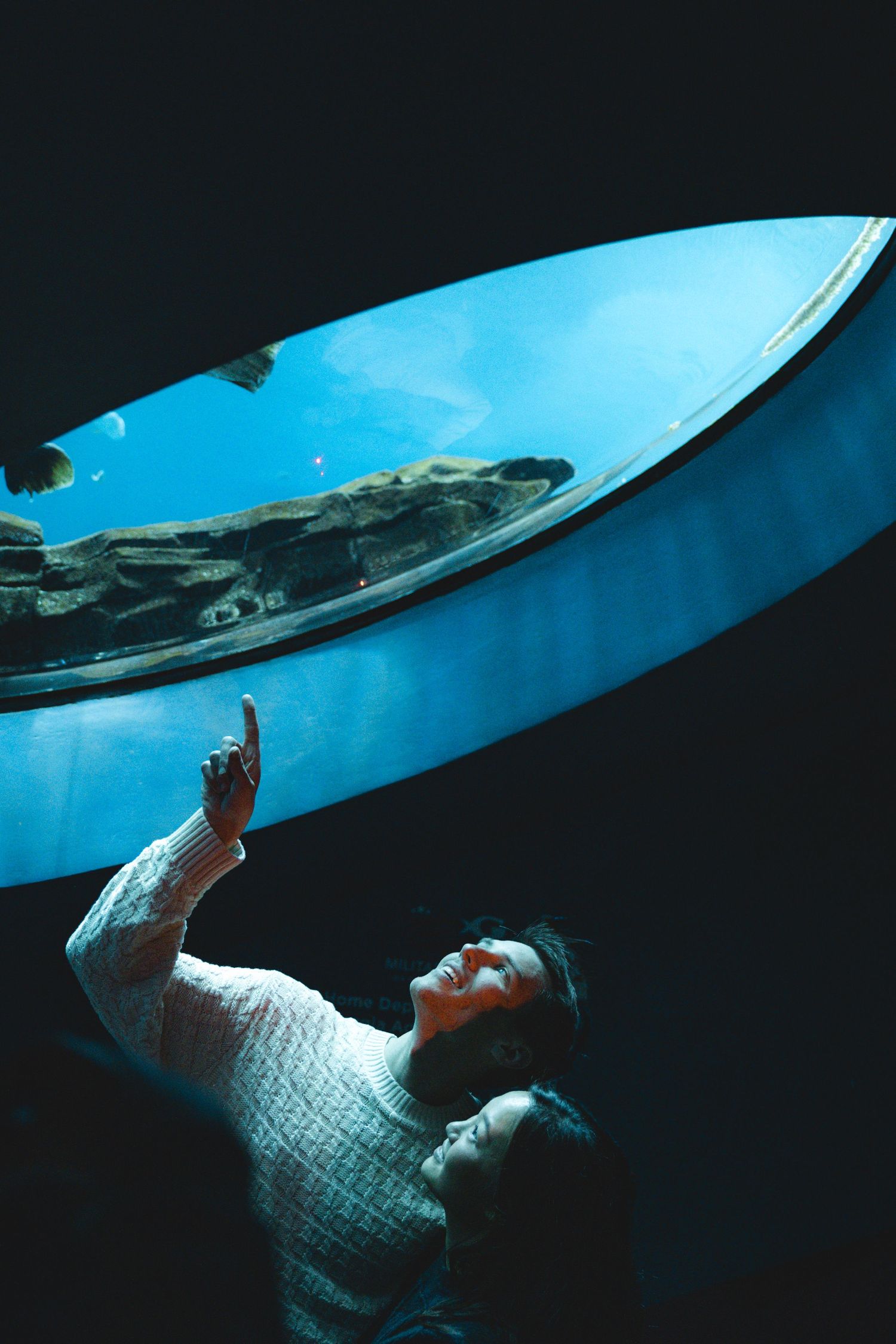 Person in white sweater looking up at curved aquarium window with blue water.
