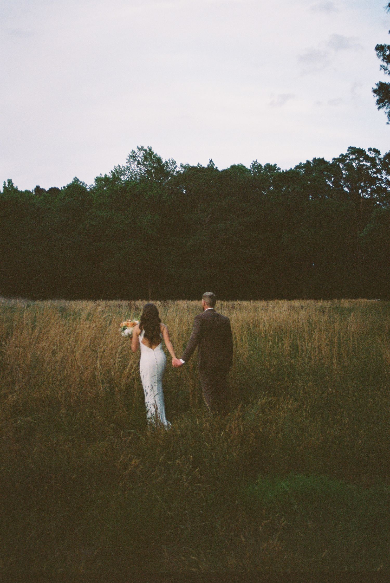 A bride and groom hold hands walking through a golden meadow with lush green trees in the background.