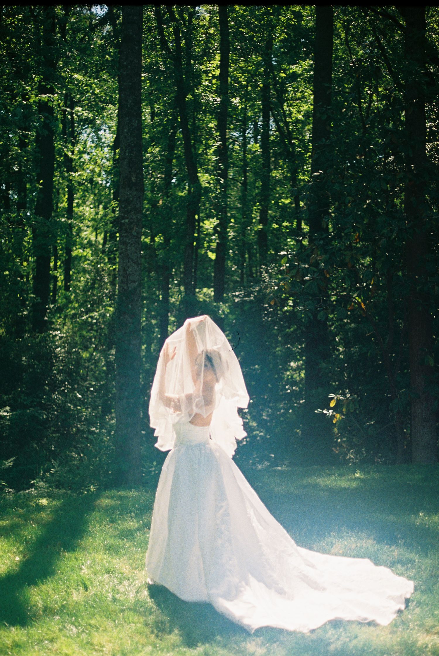 Bride in white wedding gown with veil stands in sunlit forest clearing, long train flowing on green grass.