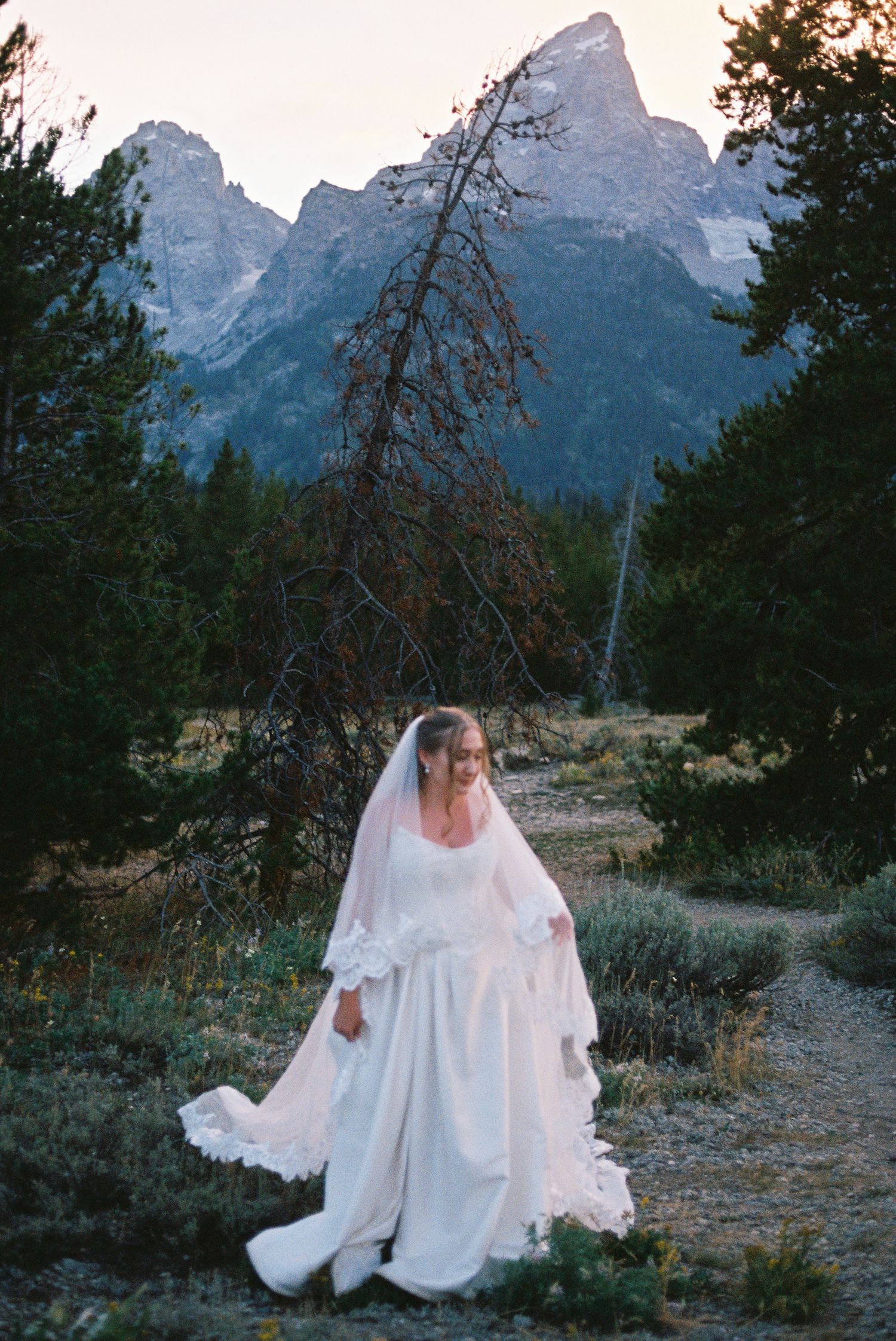 Bride in white gown and veil walks a forest path with Grand Teton mountains in background.