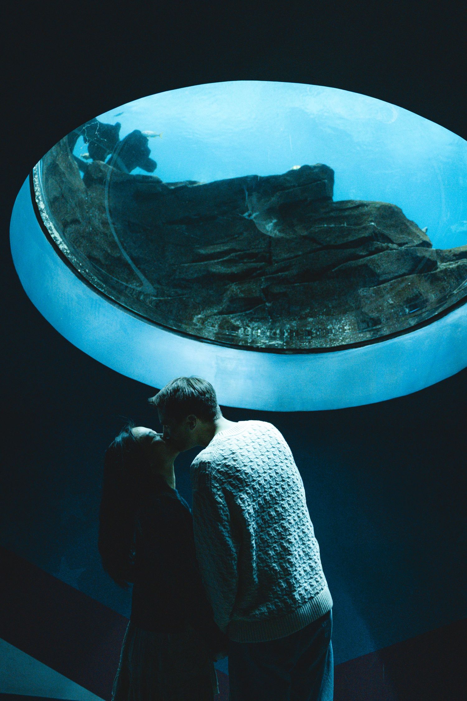 Large curved aquarium window displaying underwater scenery with dramatic lighting effects.