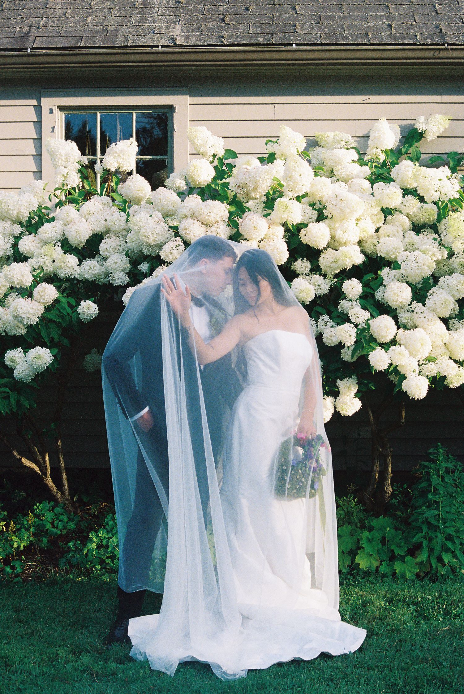 Bride and groom kissing under a flowing veil in front of lush white hydrangea bushes on their wedding day.