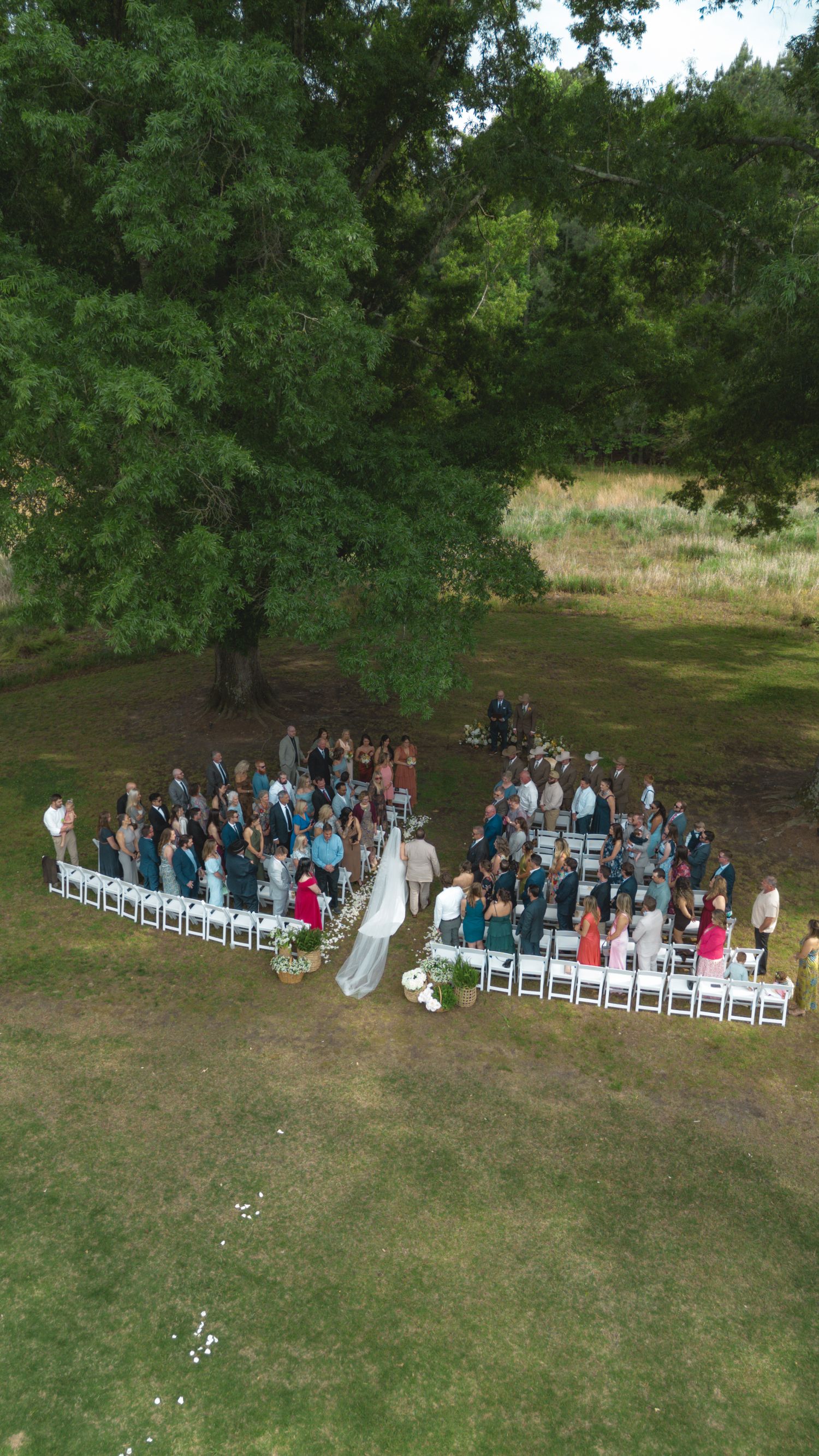Drone aerial shot of outdoor wedding ceremony with guests in white chairs surrounding couple under large tree.