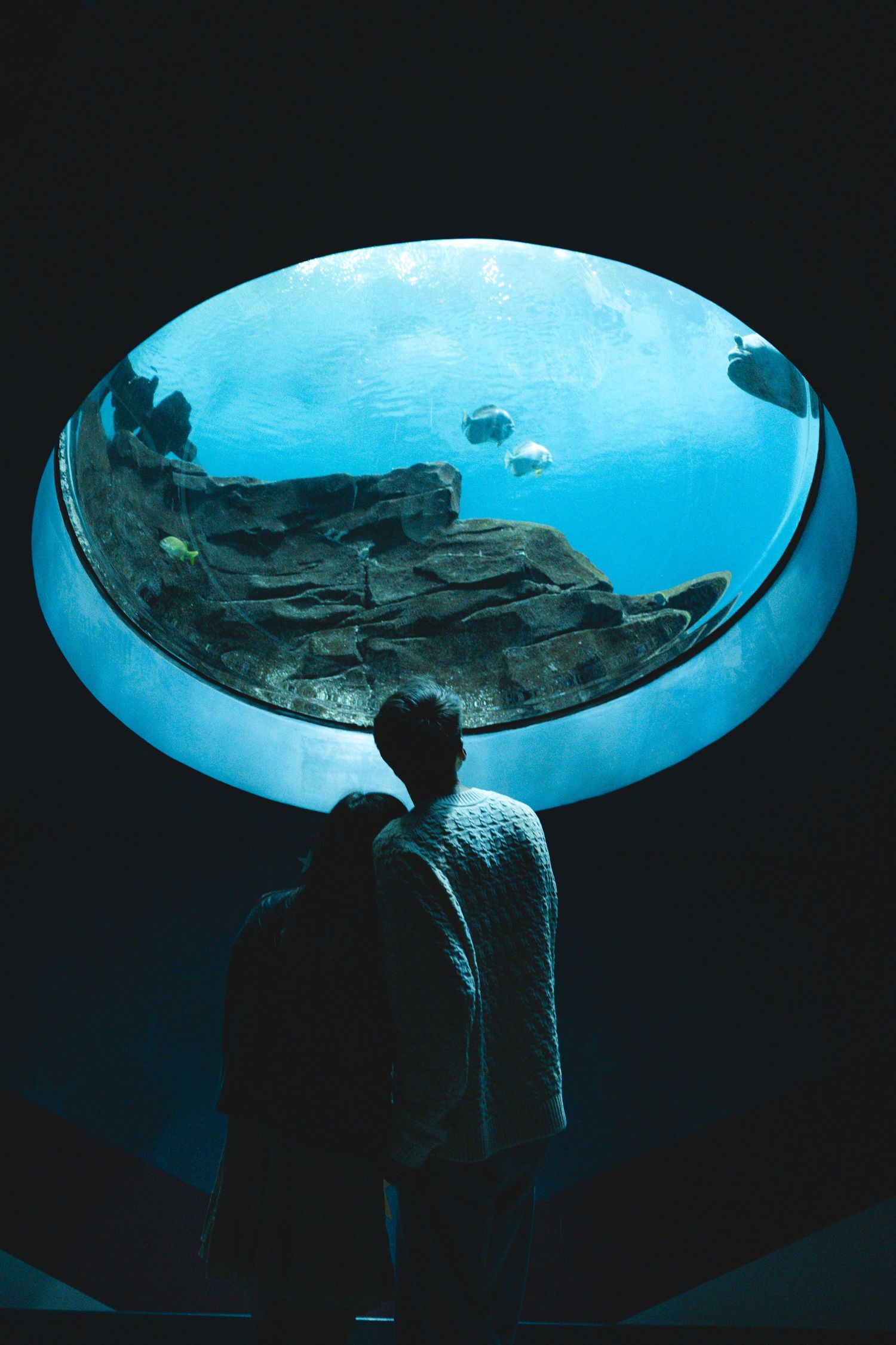 Silhouettes against a large circular aquarium window with blue illuminated water.