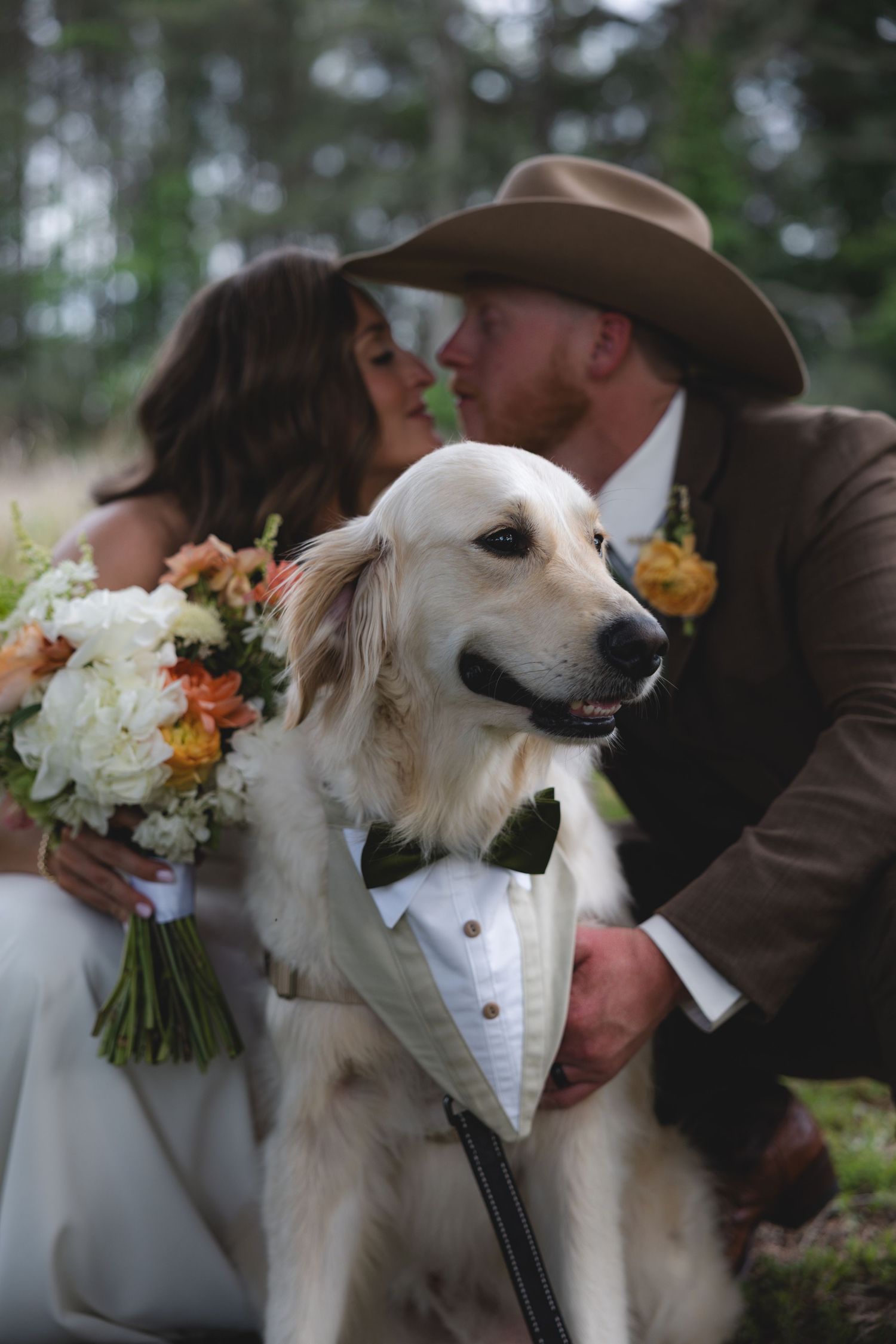 Bride and groom kissing behind their golden retriever dressed in a tuxedo bib at an outdoor wedding.