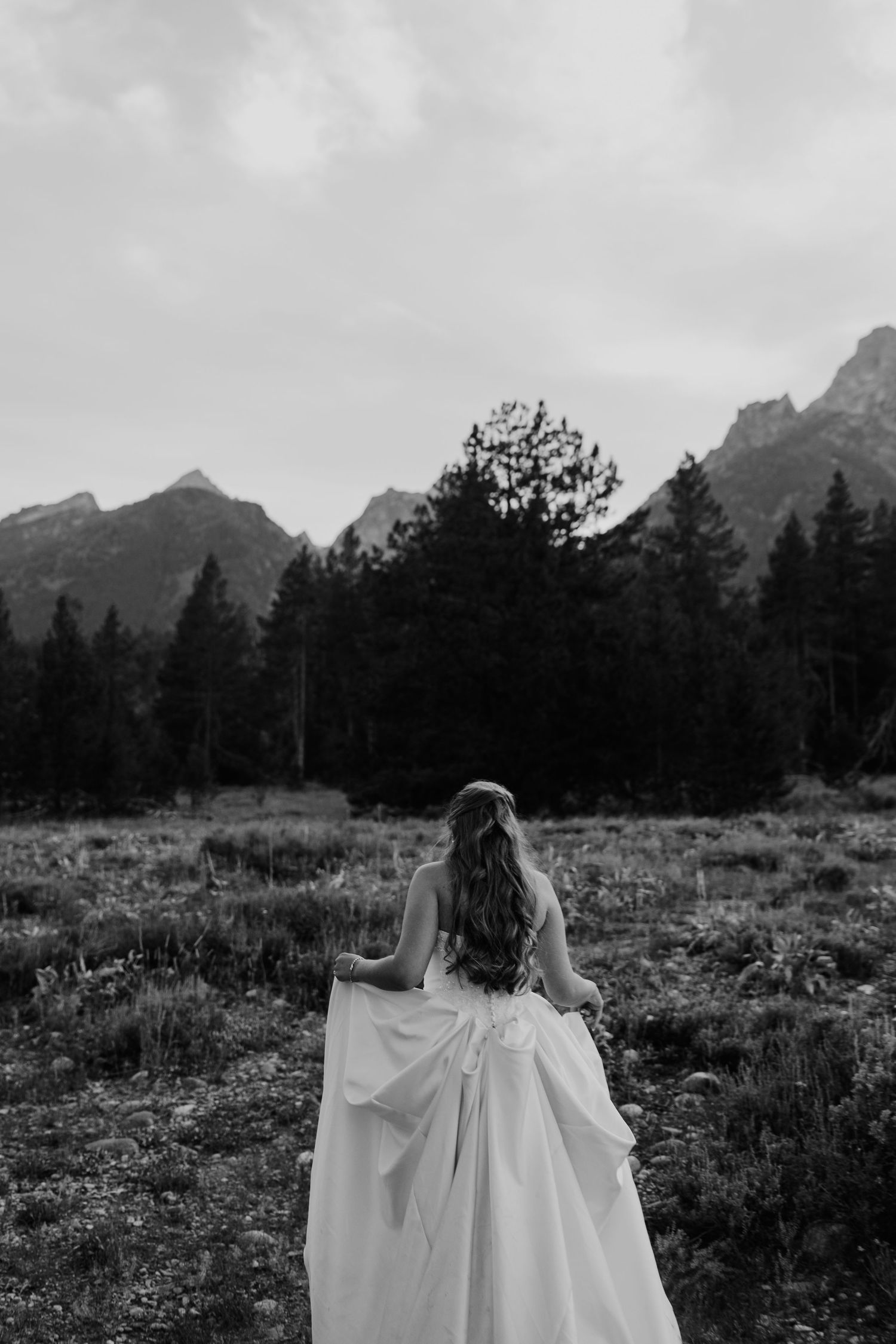 Bride in a white gown with bow walks through a mountain meadow surrounded by pine trees in black and white.