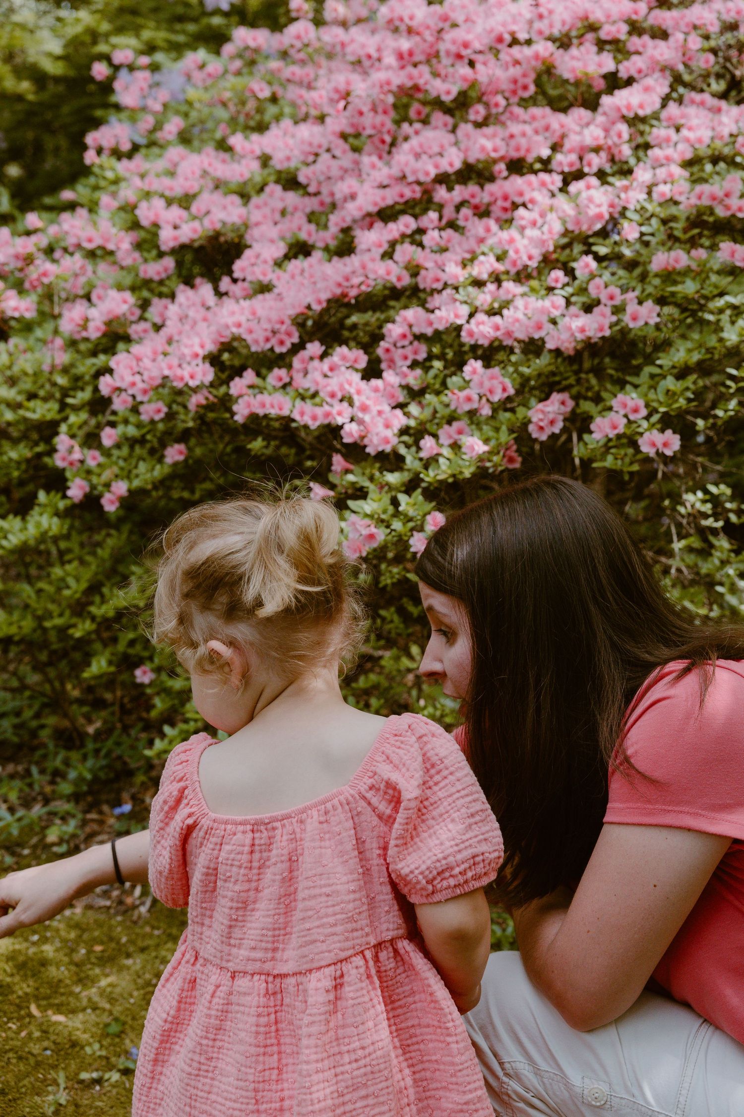 Mother in pink shirt crouches beside her young blonde daughter near blooming pink azalea bushes.