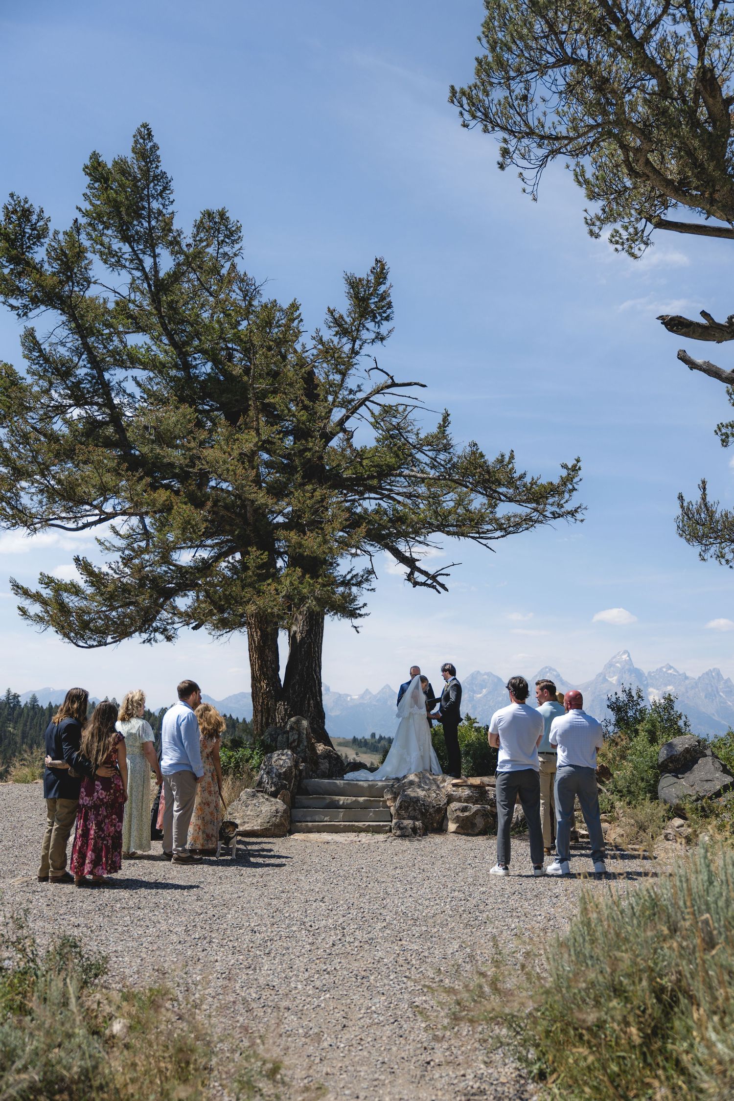 Outdoor wedding ceremony under a large pine tree with mountain views, bride and groom at altar with small group of guests.