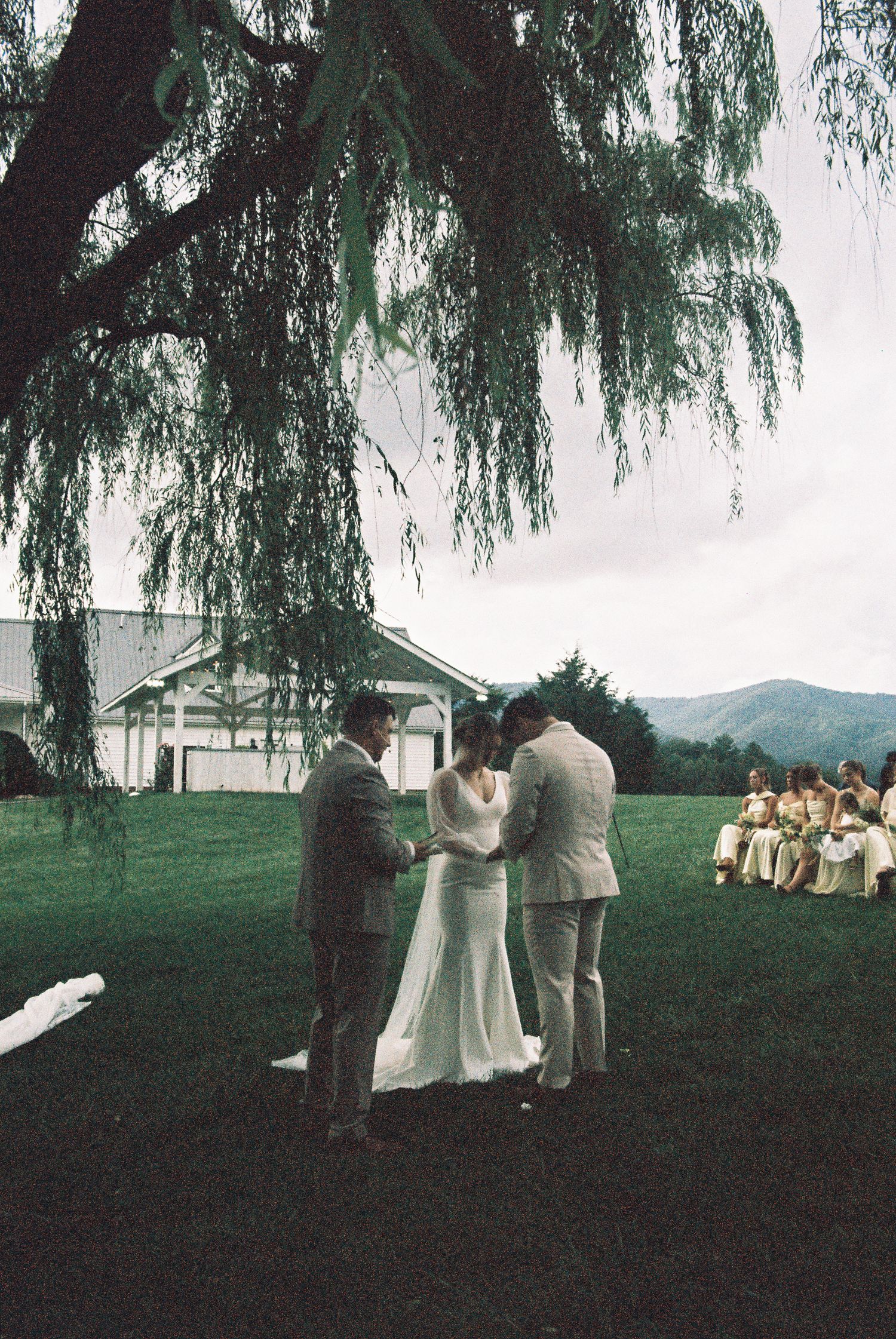 Outdoor wedding ceremony under a weeping willow tree with mountains in the background and guests seated nearby.