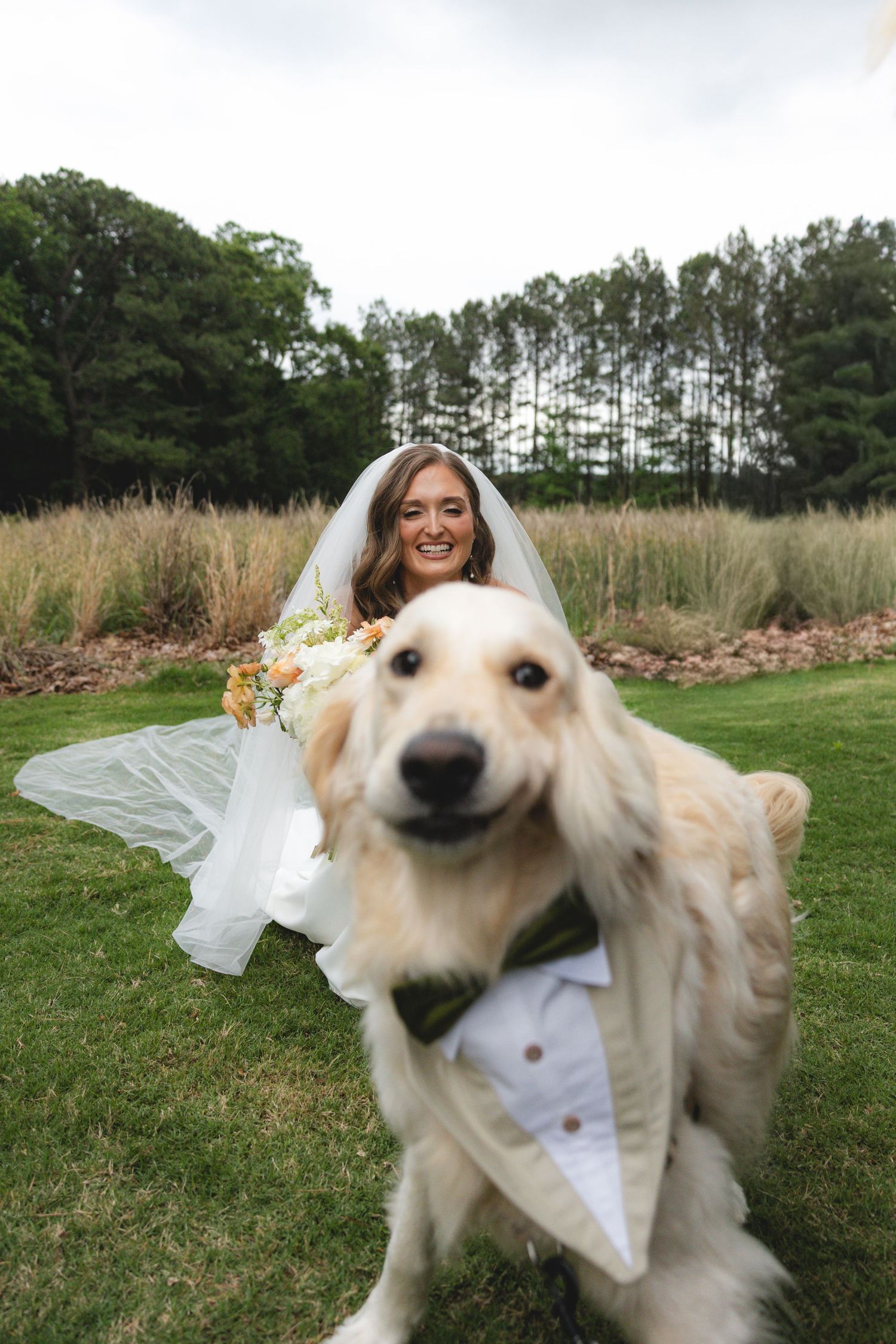 Smiling bride in white gown and veil sits on grass while golden retriever in tuxedo poses in foreground.