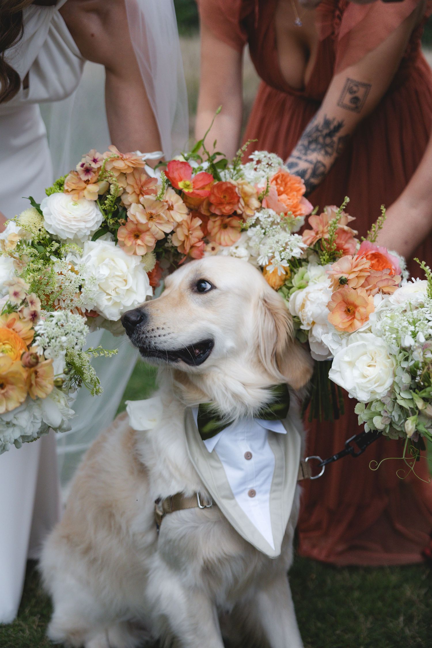 Golden retriever wearing a floral crown and tuxedo bib surrounded by wedding bouquets at an outdoor ceremony.