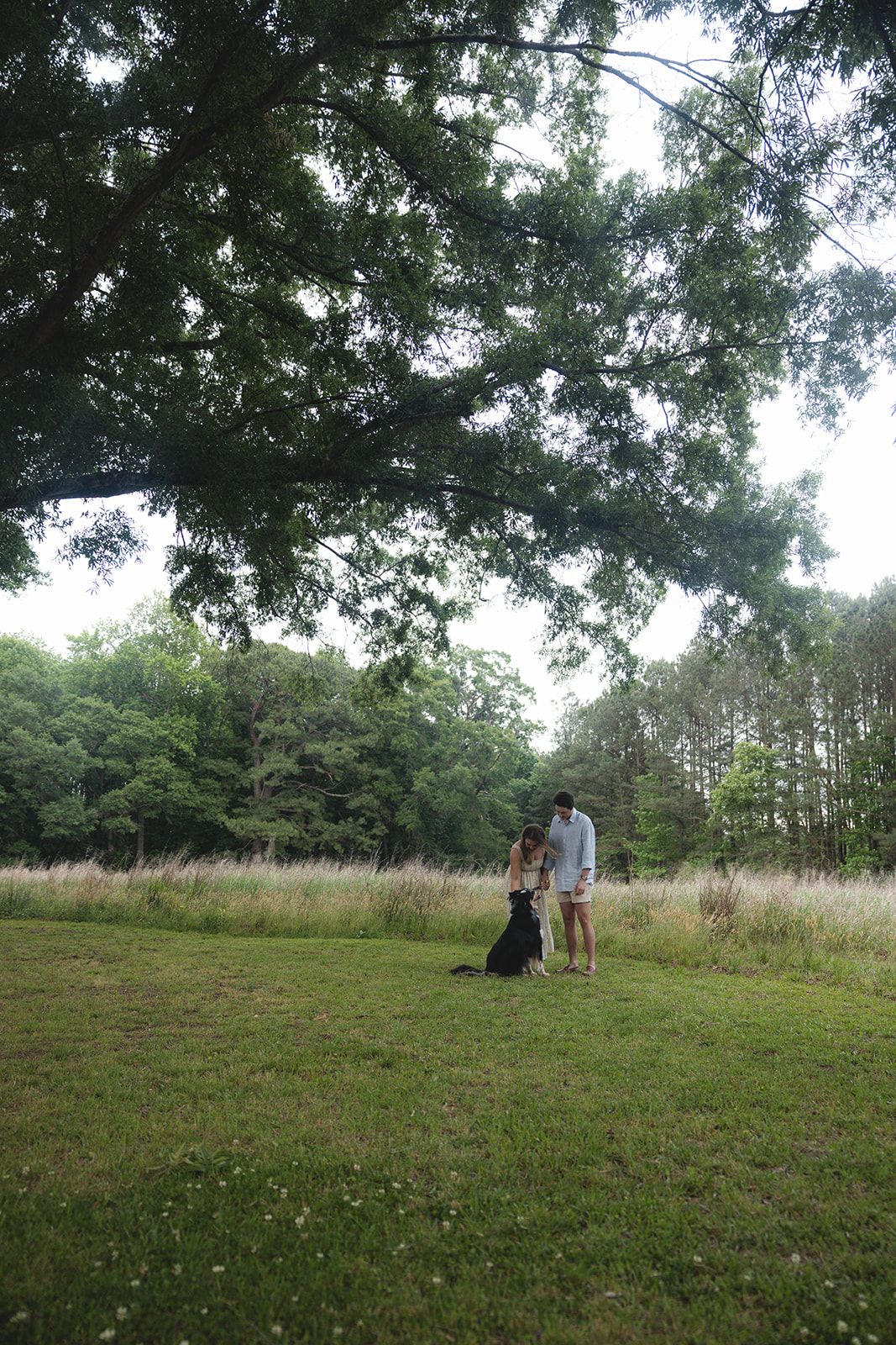 Couple standing with black dog in lush green park meadow under large tree canopy surrounded by forest.
