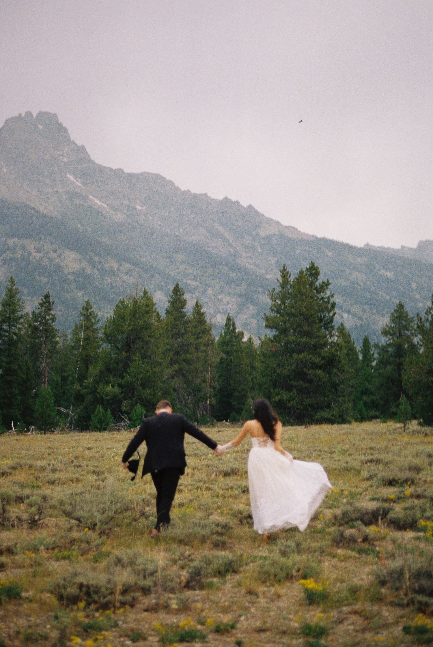 A bride and groom walk hand-in-hand through a mountain meadow, with pine trees and misty peaks in the background.