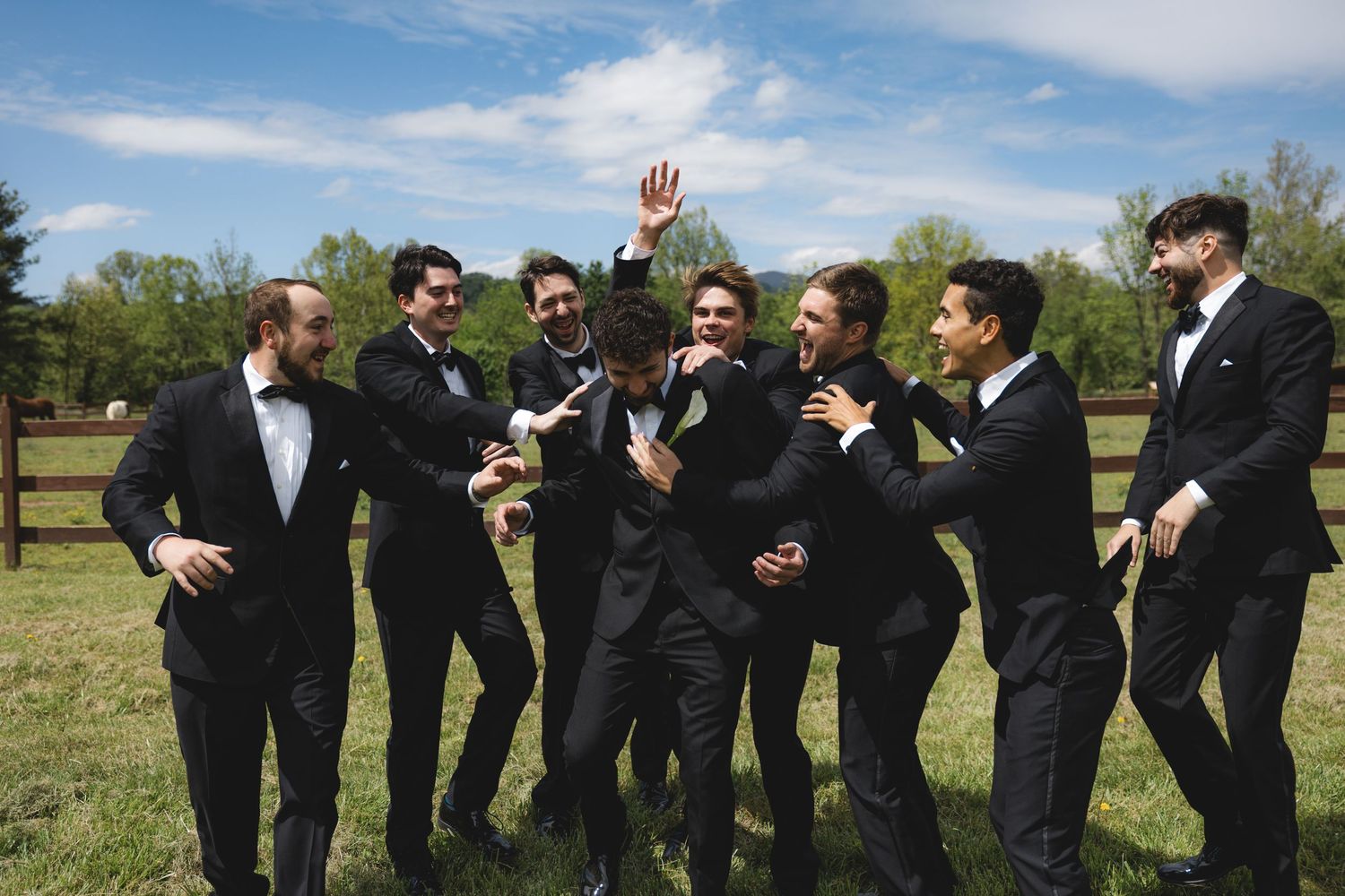 Groomsmen in black tuxedos celebrate joyfully outdoors on a sunny day at a farm wedding venue.