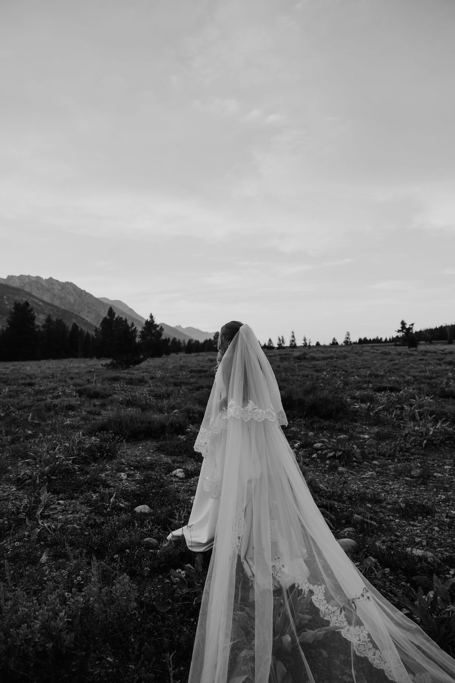 Black and white photo of a bride in a long veil walking through a mountain meadow with trees and peaks in the background.